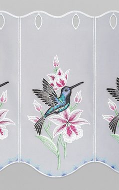 Scheibengardine Kolibri, Plauener Spitze®, (1 St), transparent, HxB 35x48cm