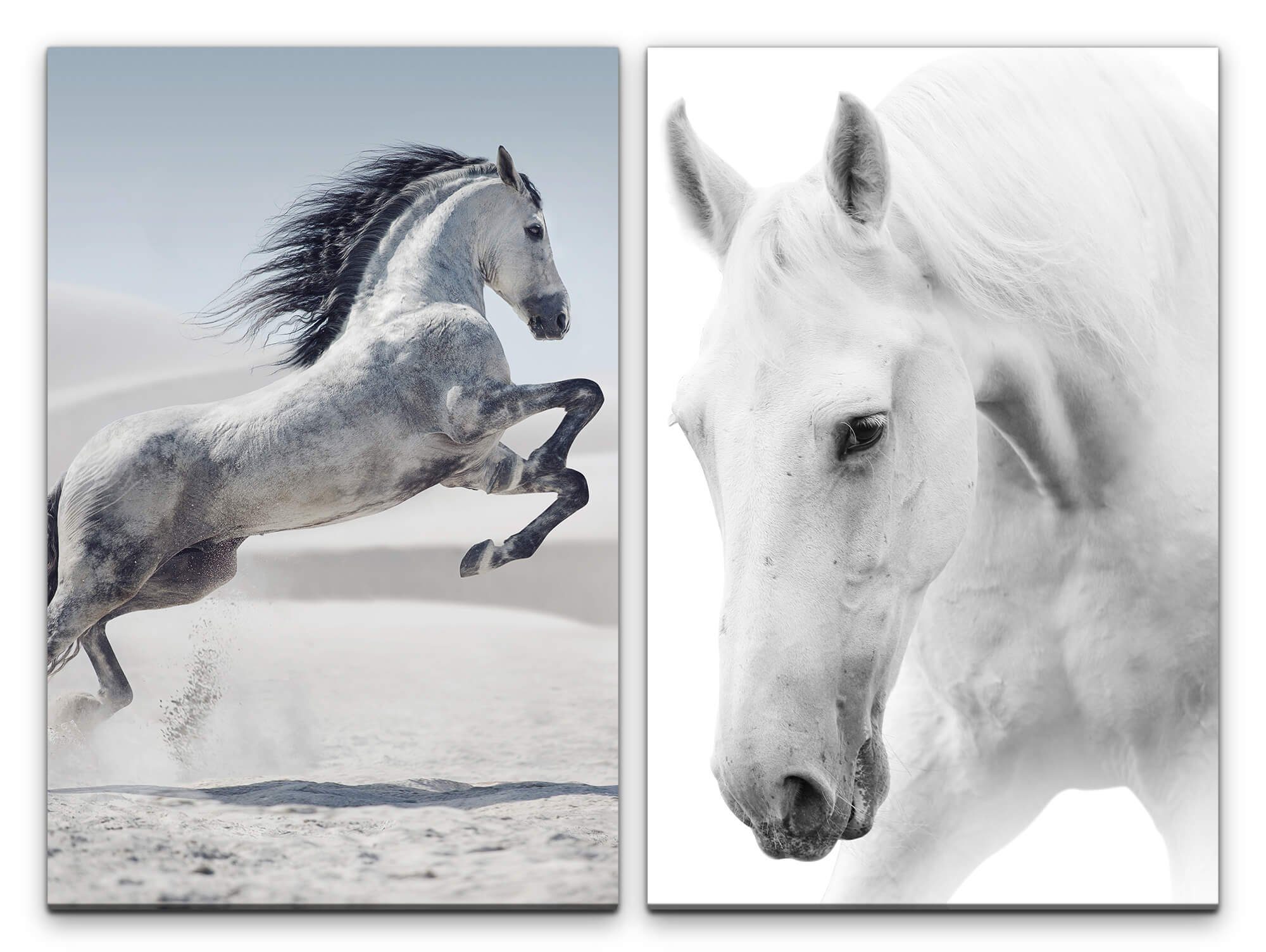 Leinwandbild 2 Bilder je 60x90cm Pferde Mustang Schimmel Kraftvoll Wild Wüste Kavalierstart