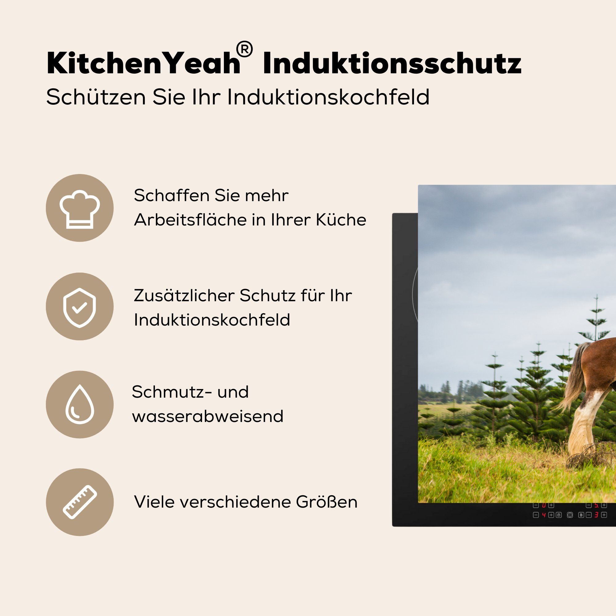 Induktionskochfeld Clydesdale 81x52 MuchoWow - Pferde, Gras Vinyl, (1 küche, cm, die tlg), für Herdblende-/Abdeckplatte Schutz Ceranfeldabdeckung -