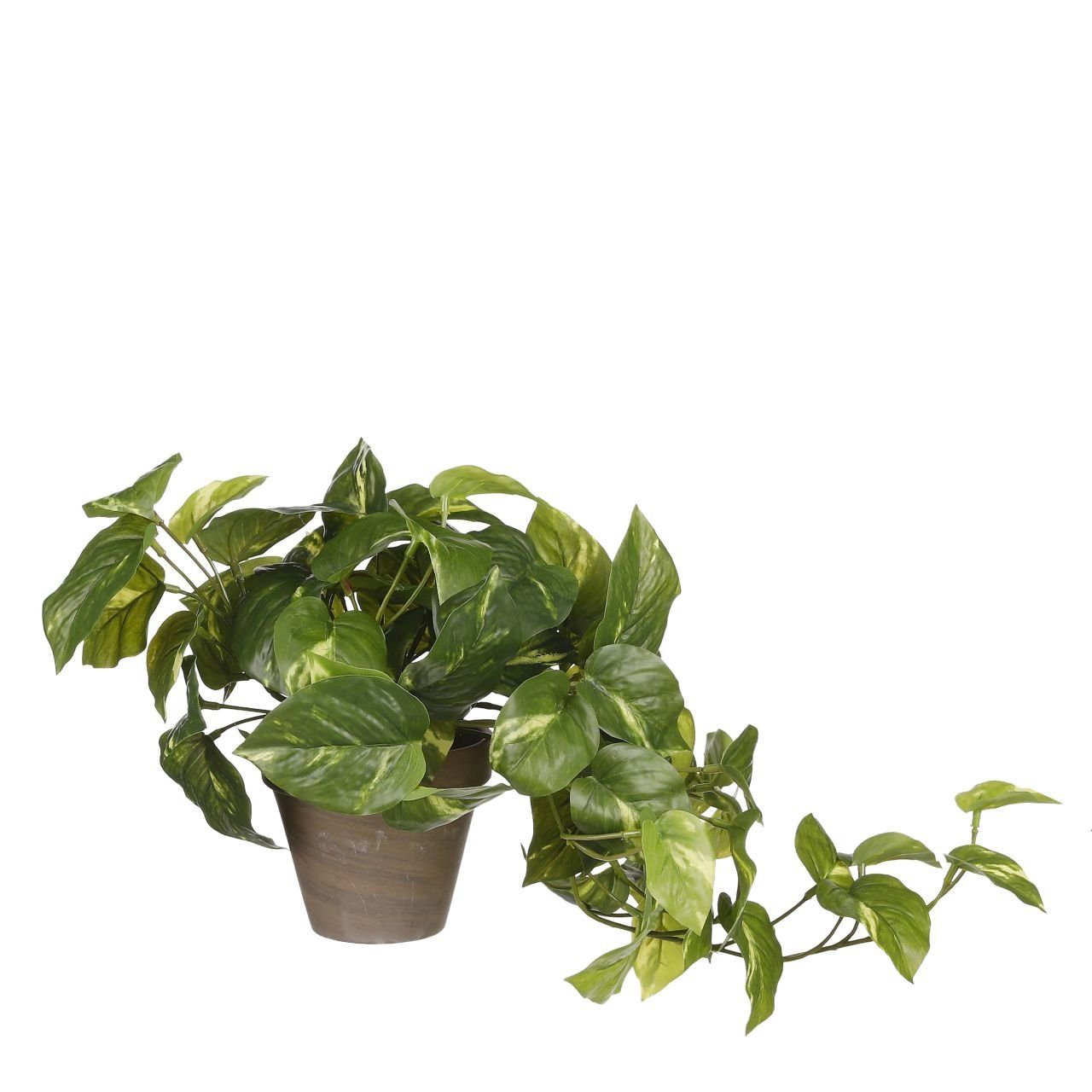 Pothos x cm, 44 Mica grün Kunstpflanze im Decorations künstlicher 17 Mica Topf