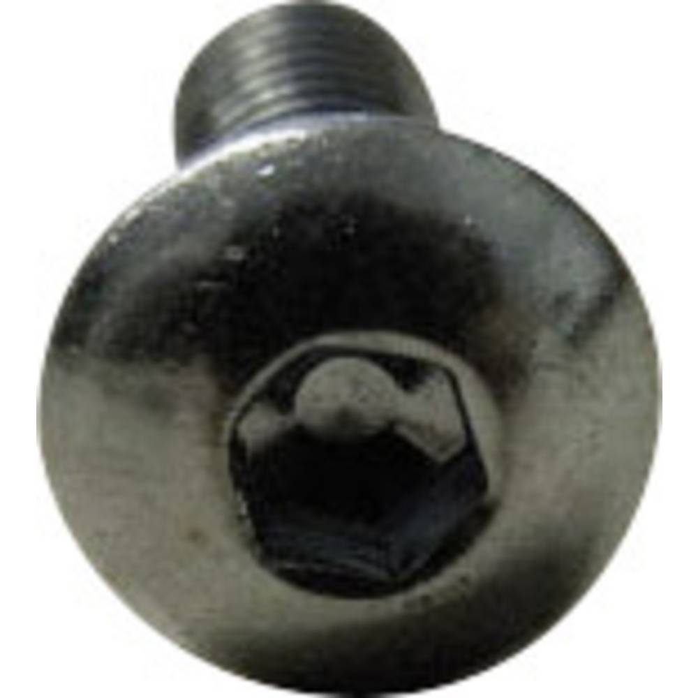 Linsenschraube Linsenschrauben