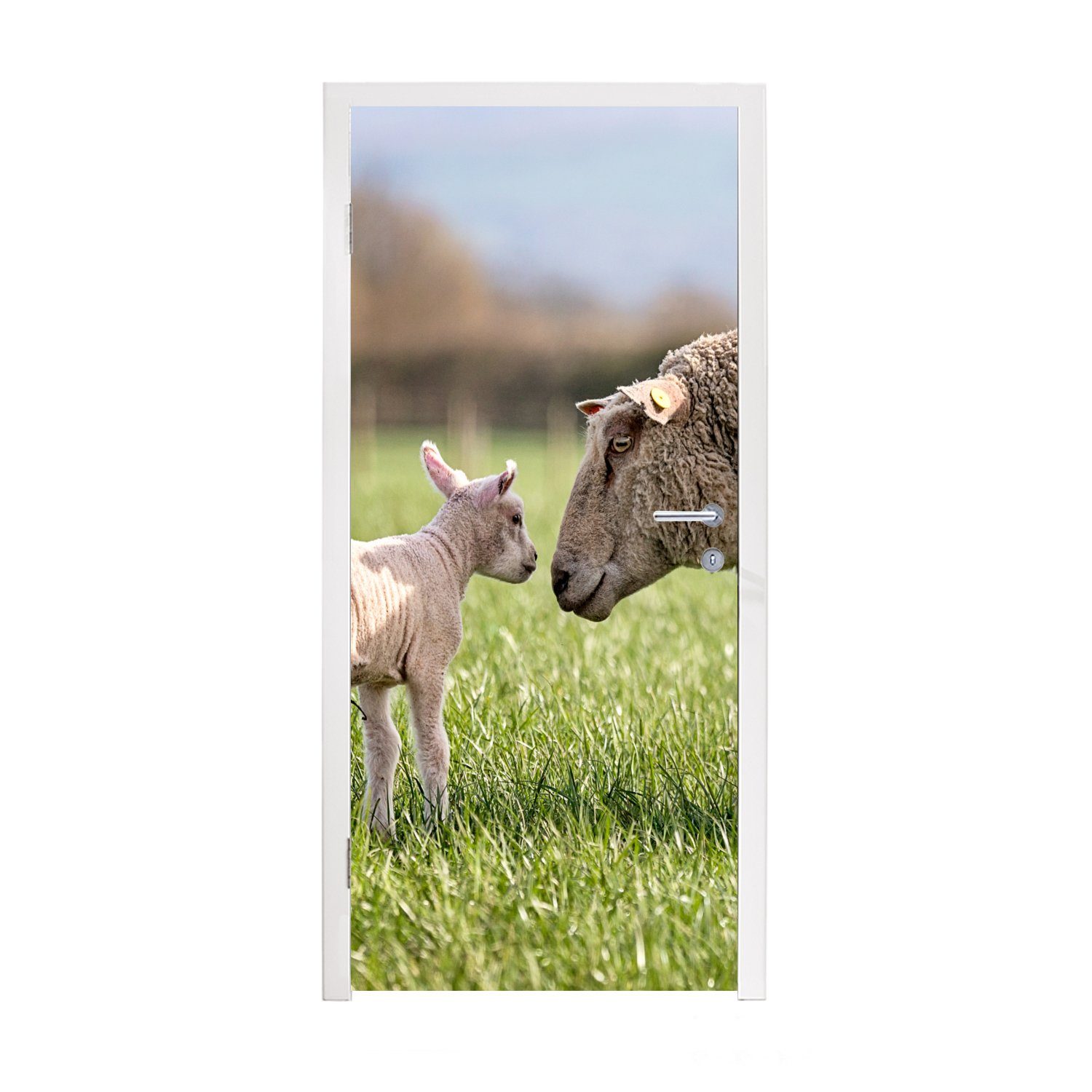 MuchoWow Türtapete Schafe - Gras - Türaufkleber, Fototapete Matt, 75x205 Tür, (1 St), bedruckt, Lamm, cm für