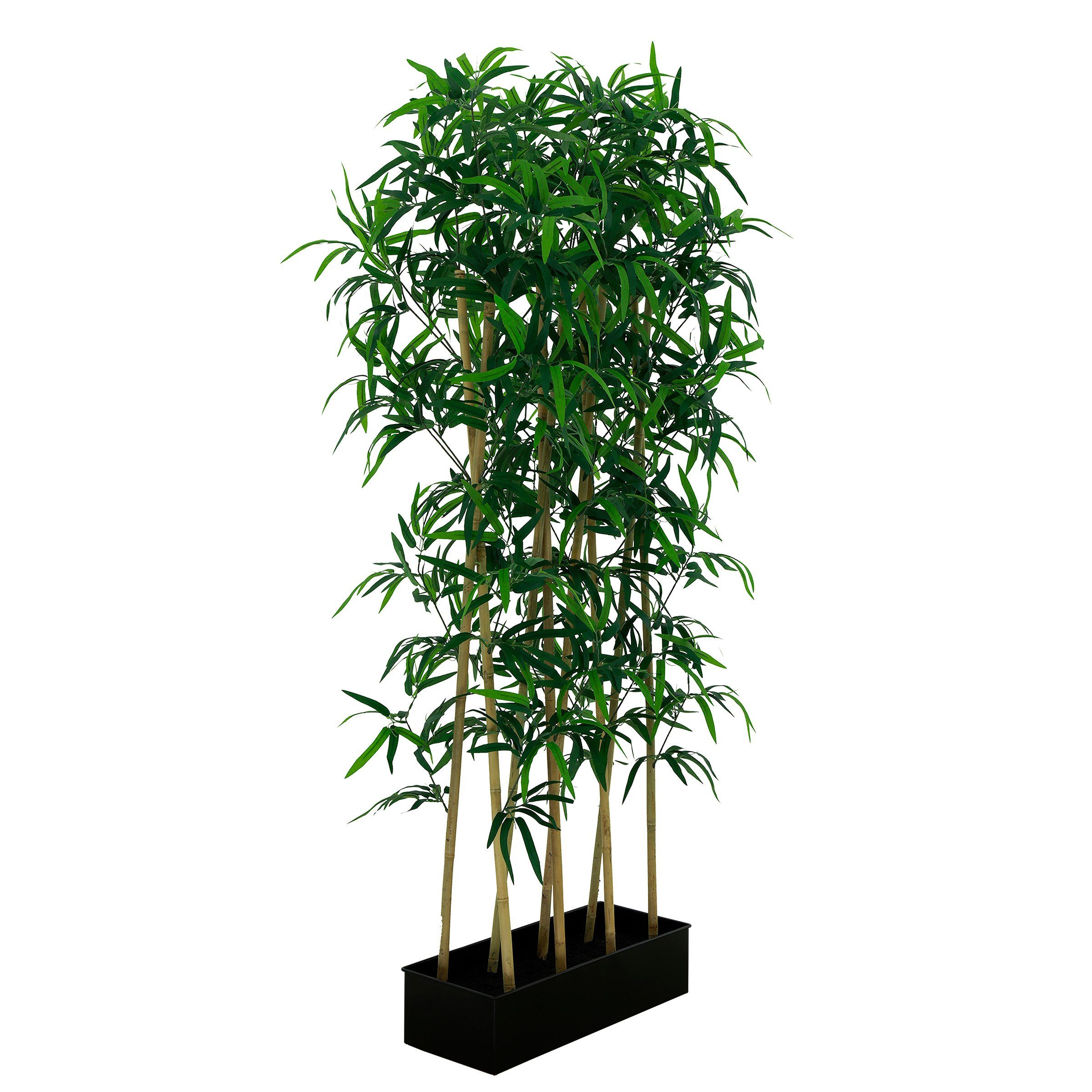 Kunstbambus, AVANTEX, Raumtrenner Gräser Raumteiler Kunstpflanze Bambus  Sichtschutz Höhe ca.150 cm online kaufen | OTTO