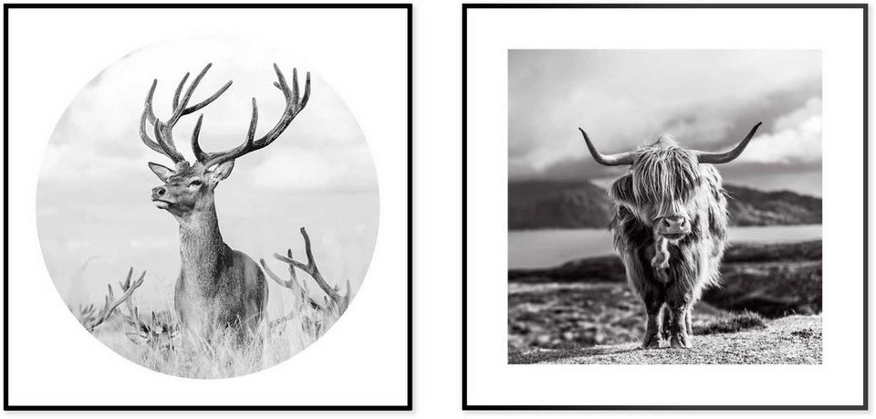 Wilde Highlander Reinders! - Wandbild Hirsch Bulle, Natur Wandbilder St) Natur Set (2 Geweih -