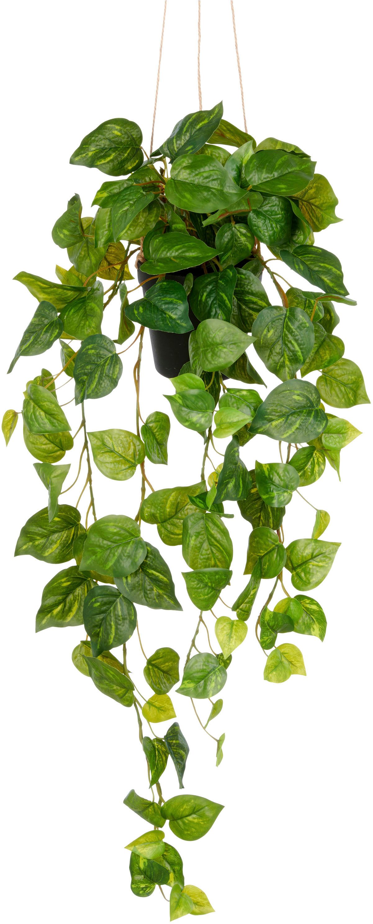 Kunstpflanze Hängender Philodendron hederaceum, Creativ green, Höhe 75 cm, mit üppigen Ranken
