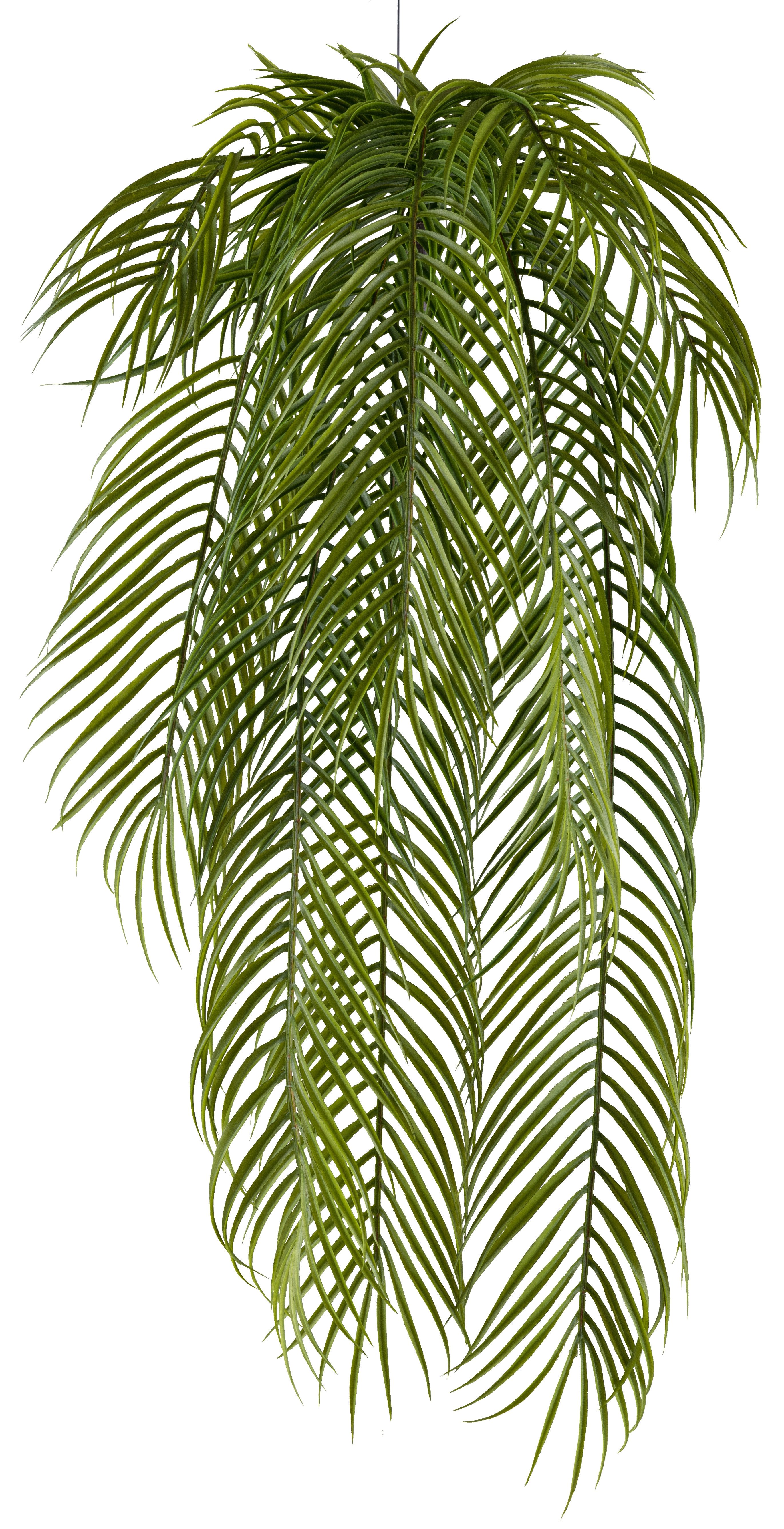 Kunstpalme Dekohänger Palmblatt, Creativ green, Höhe 80 cm, mit naturgetreuen Palmwedeln
