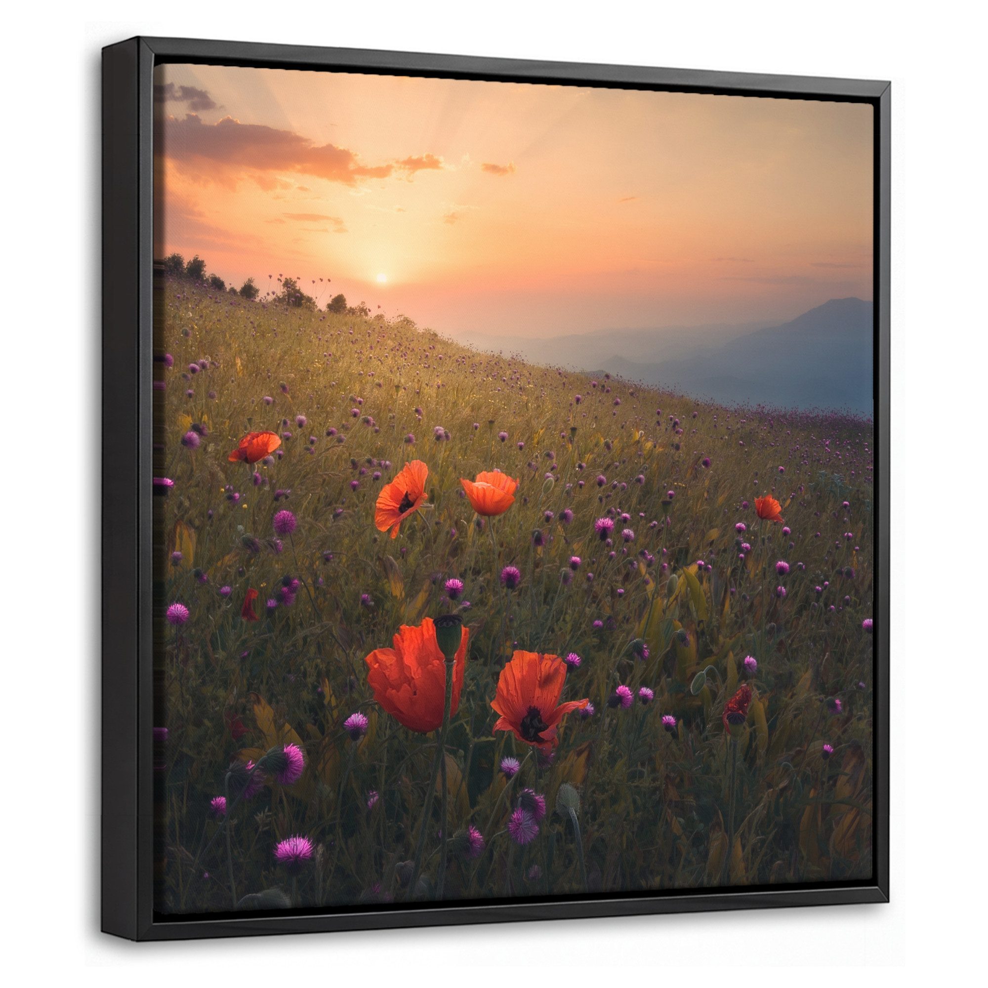 OneMillionCanvasses® Leinwandbild mit Rahmen - Blumenfeld - Gras - Blumen - Pflanzen - Sonnenuntergang -, Fotodruck (1 St), Leinwand Bilder Klein, Wand Dekoration Aesthetic 20x20cm