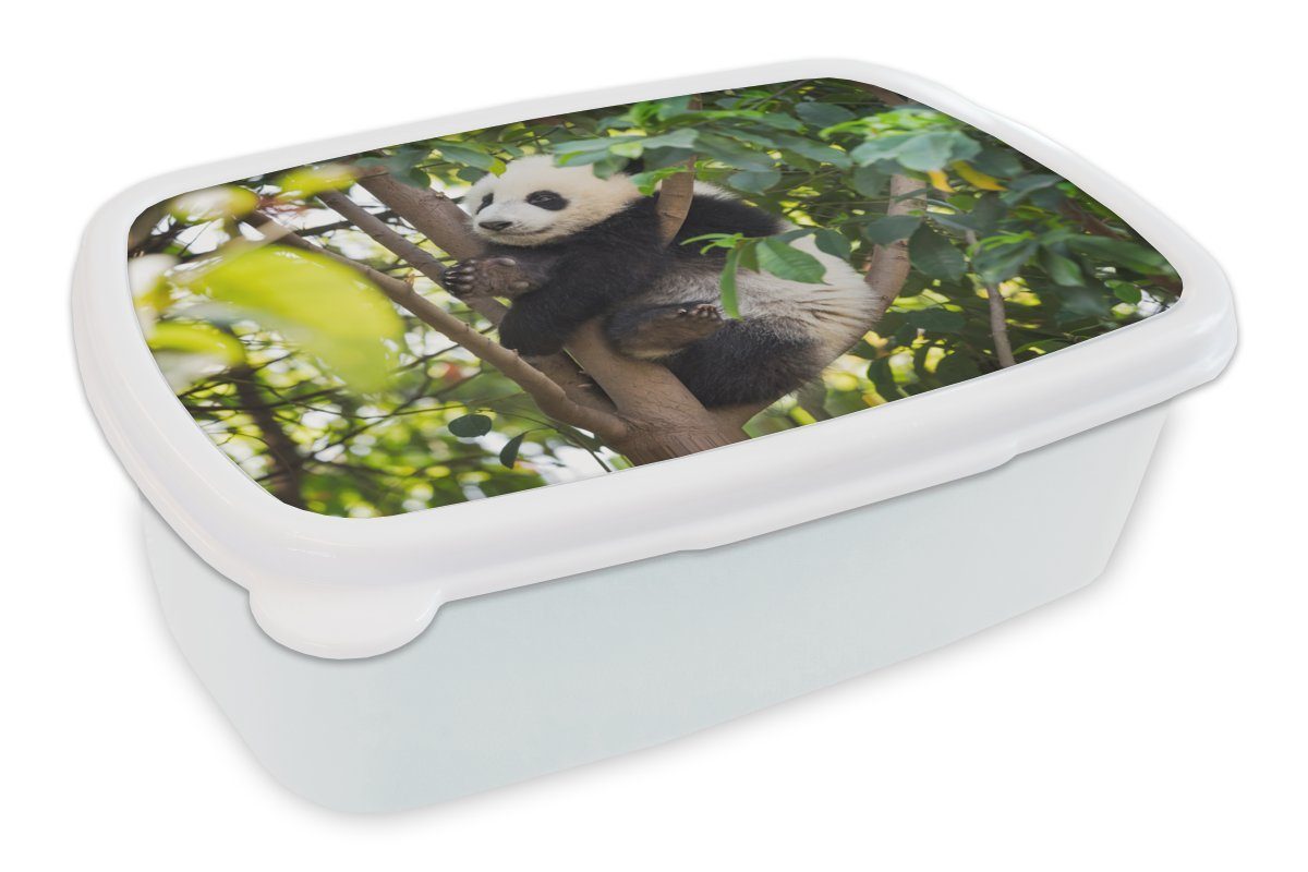 MuchoWow Lunchbox Panda - Tier - Baum, Kunststoff, (2-tlg), Brotbox für Kinder und Erwachsene, Brotdose, für Jungs und Mädchen weiß