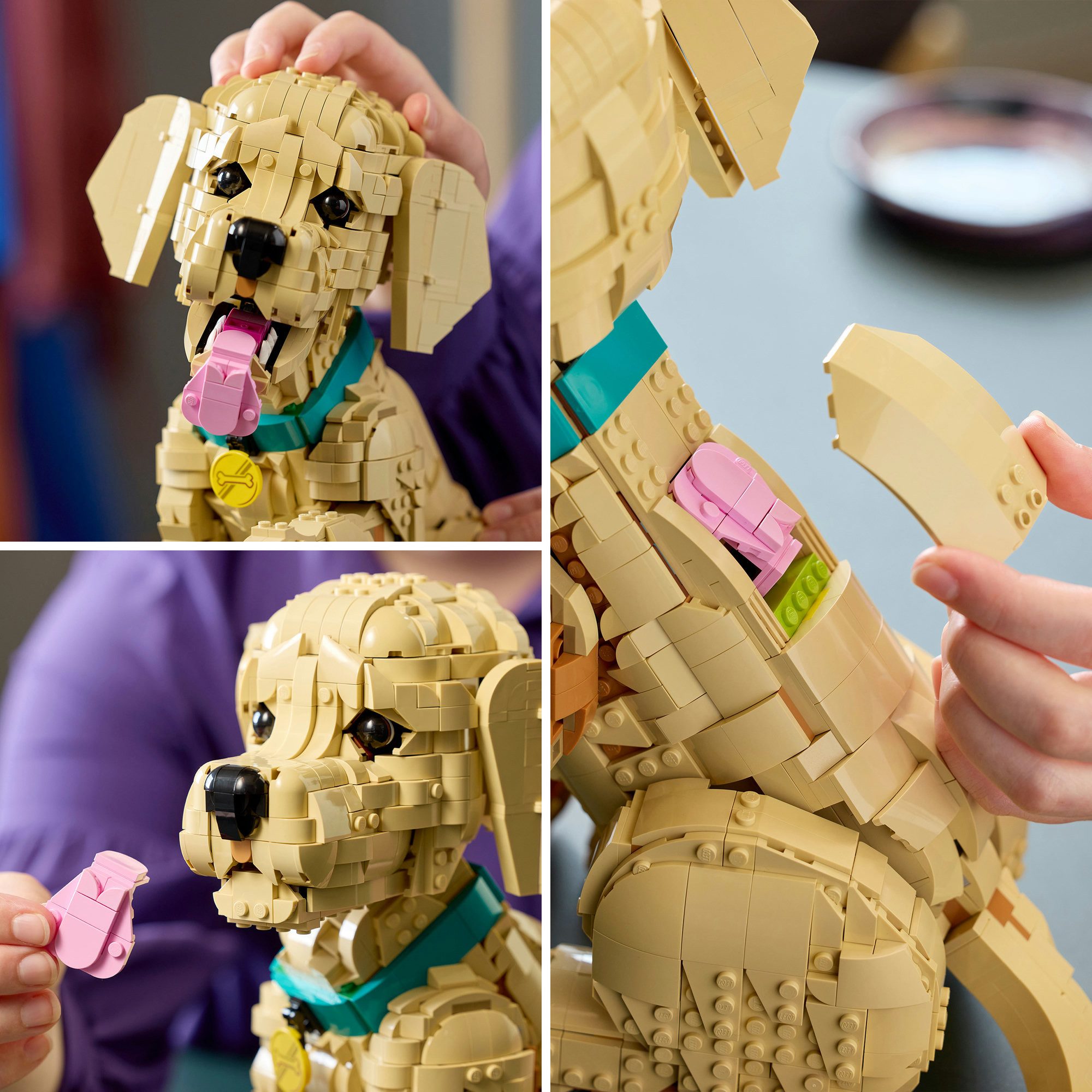 LEGO® Golden Retriever Welpe (11384), LEGO Icons Konstruktionsspielsteine, (2102 St) – Bild 5 von 5