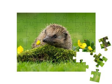puzzleYOU Puzzle Ein kleiner Igel auf einem grünen Mooshügel, 48 Puzzleteile, puzzleYOU-Kollektionen Igel, Tiere in Wald & Gebirge