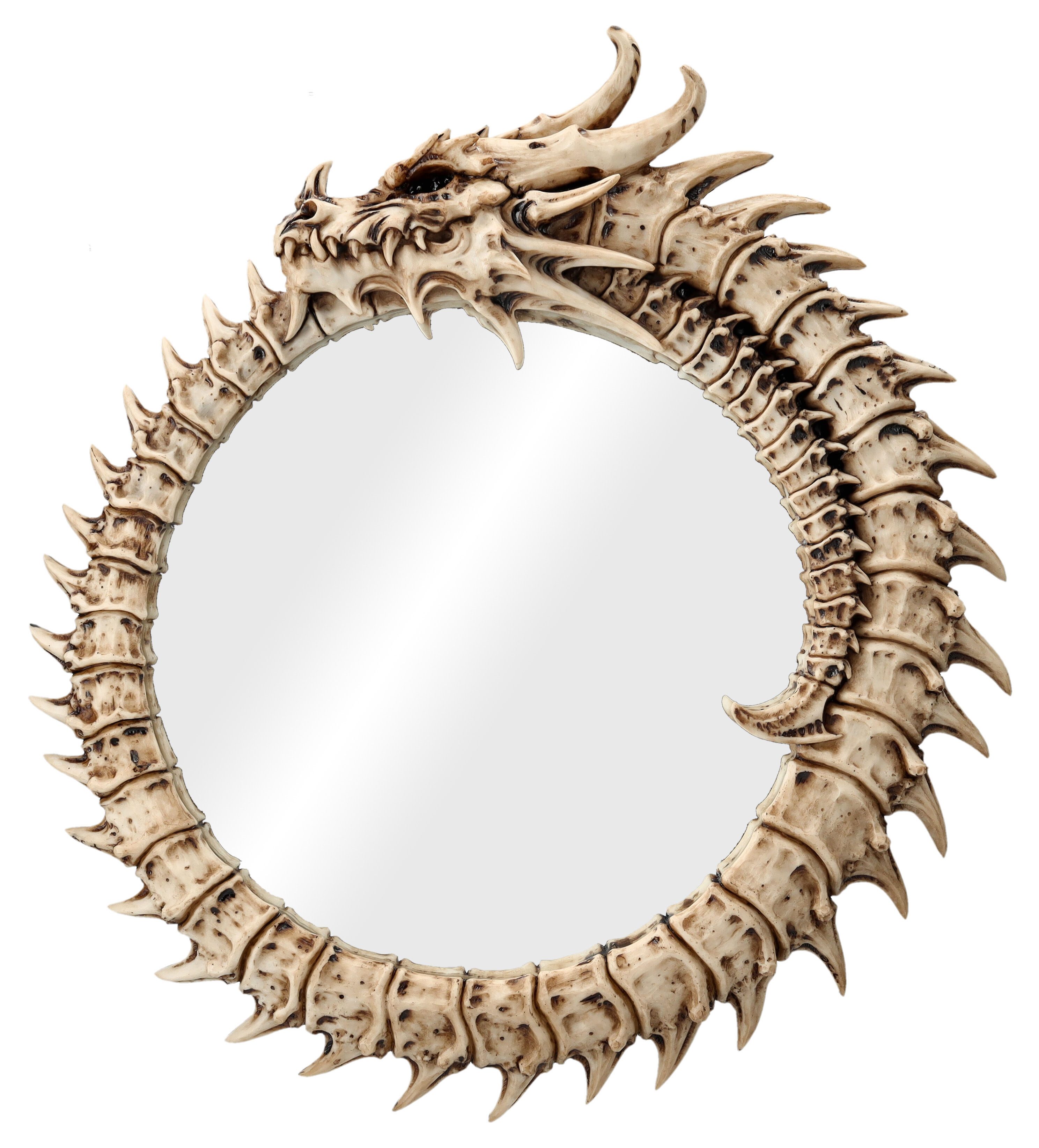 Figuren Shop GmbH Wandspiegel Wandspiegel - Drachen-Skelett Ouroboros - Fantasy Spiegel Drache Deko