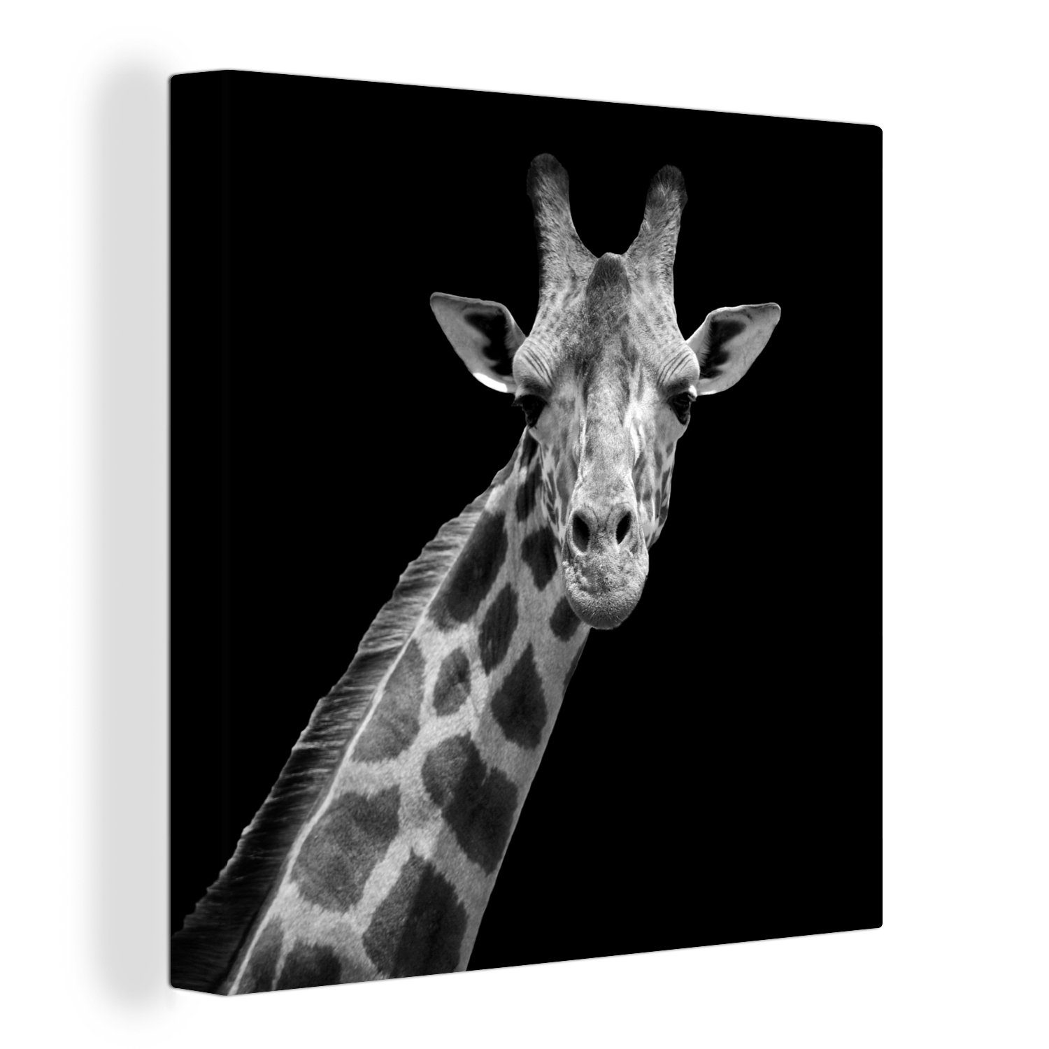 OneMillionCanvasses® Leinwandbild Giraffe - Wildtiere - Schwarz-Weiß - Porträt, (1 St), Leinwand Bilder für Wohnzimmer Schlafzimmer