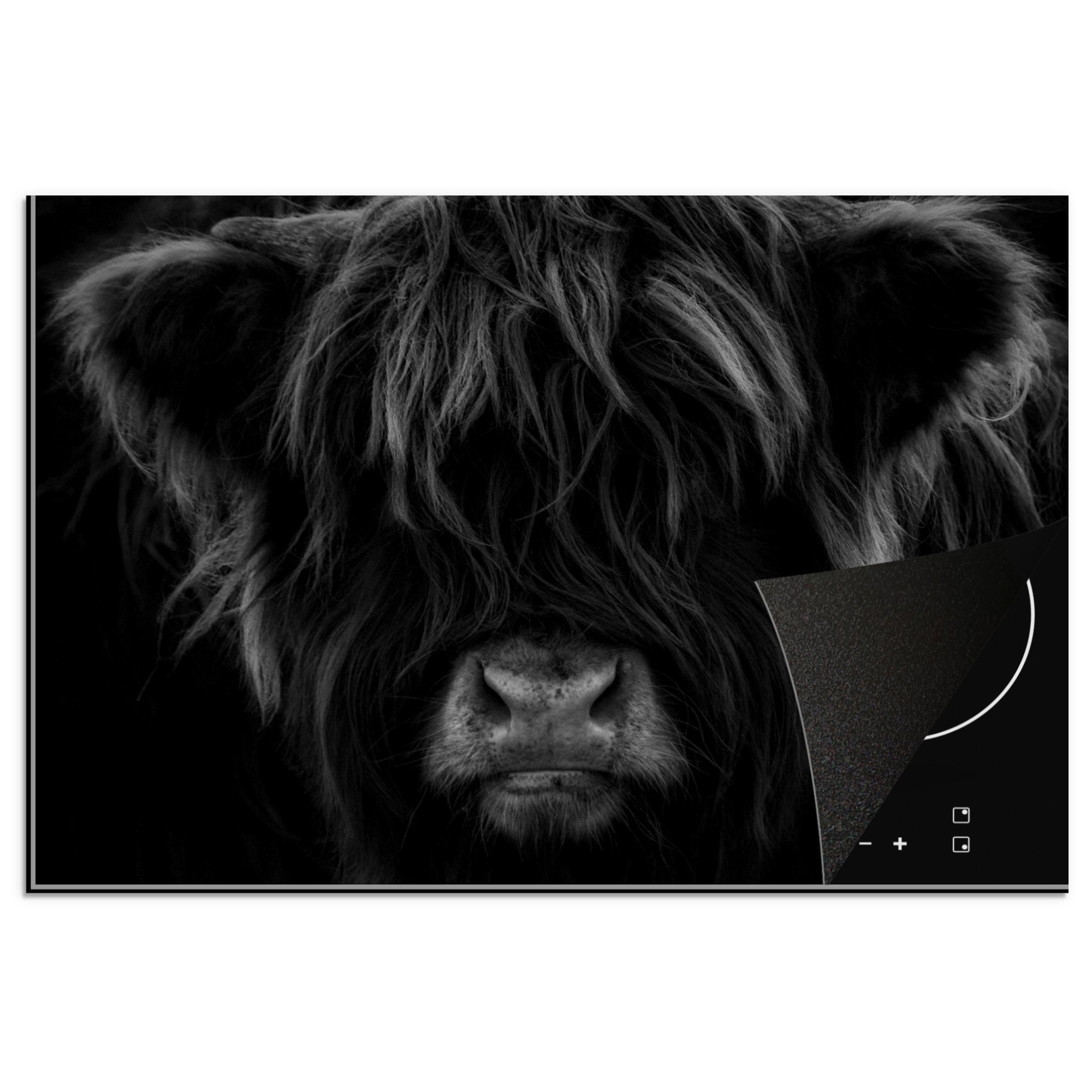MuchoWow Herd-Abdeckplatte Schottischer Highlander - Kuh - Porträt - Tiere - Schwarz - Weiß, Vinyl, (1 tlg), Cerankochfeld Abdeckung, Herd Abdeckplatten Vinyl, 76x51 cm