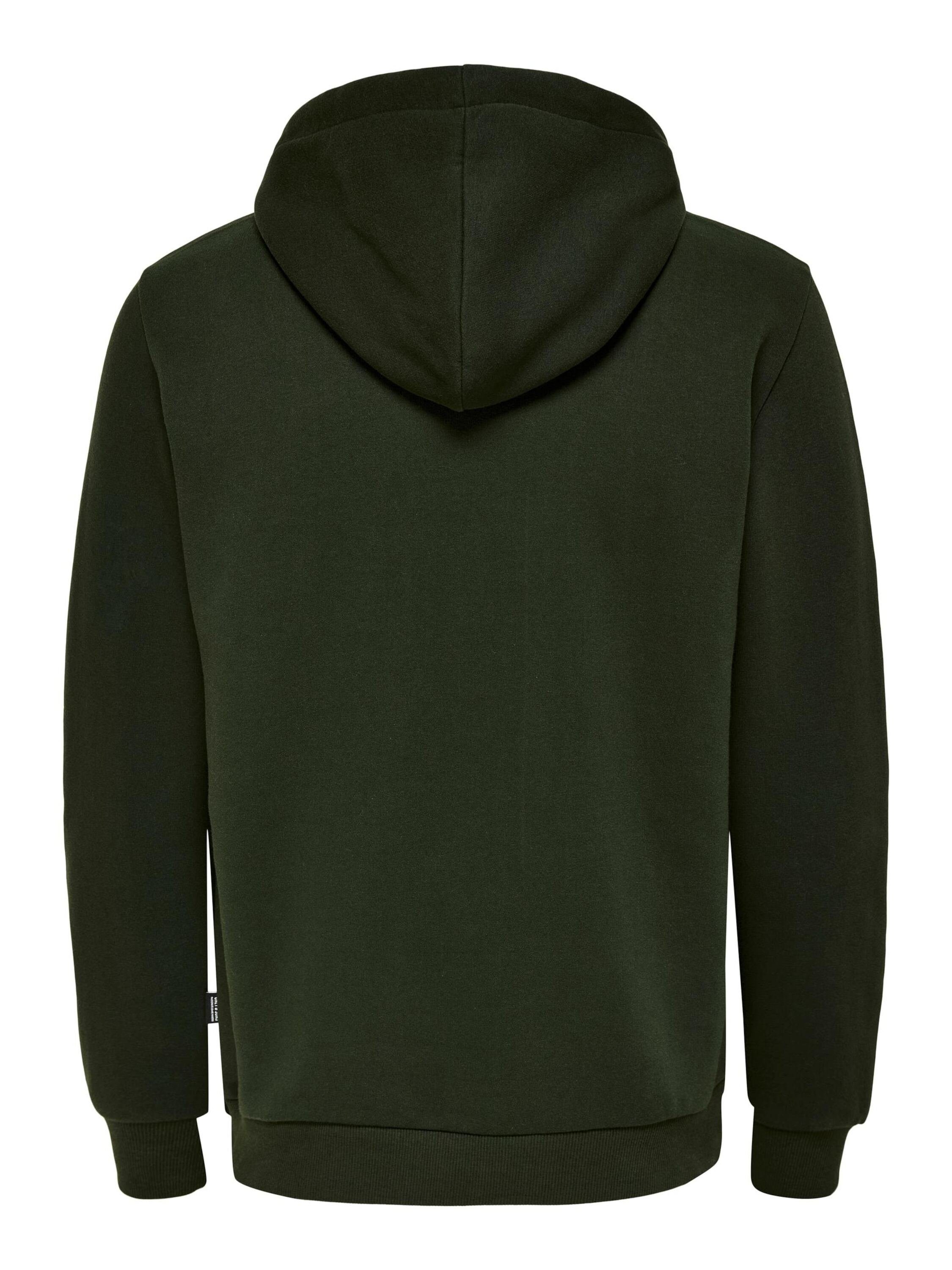 ONLY & SONS Sweatshirt Ceres (1-tlg) günstig online kaufen