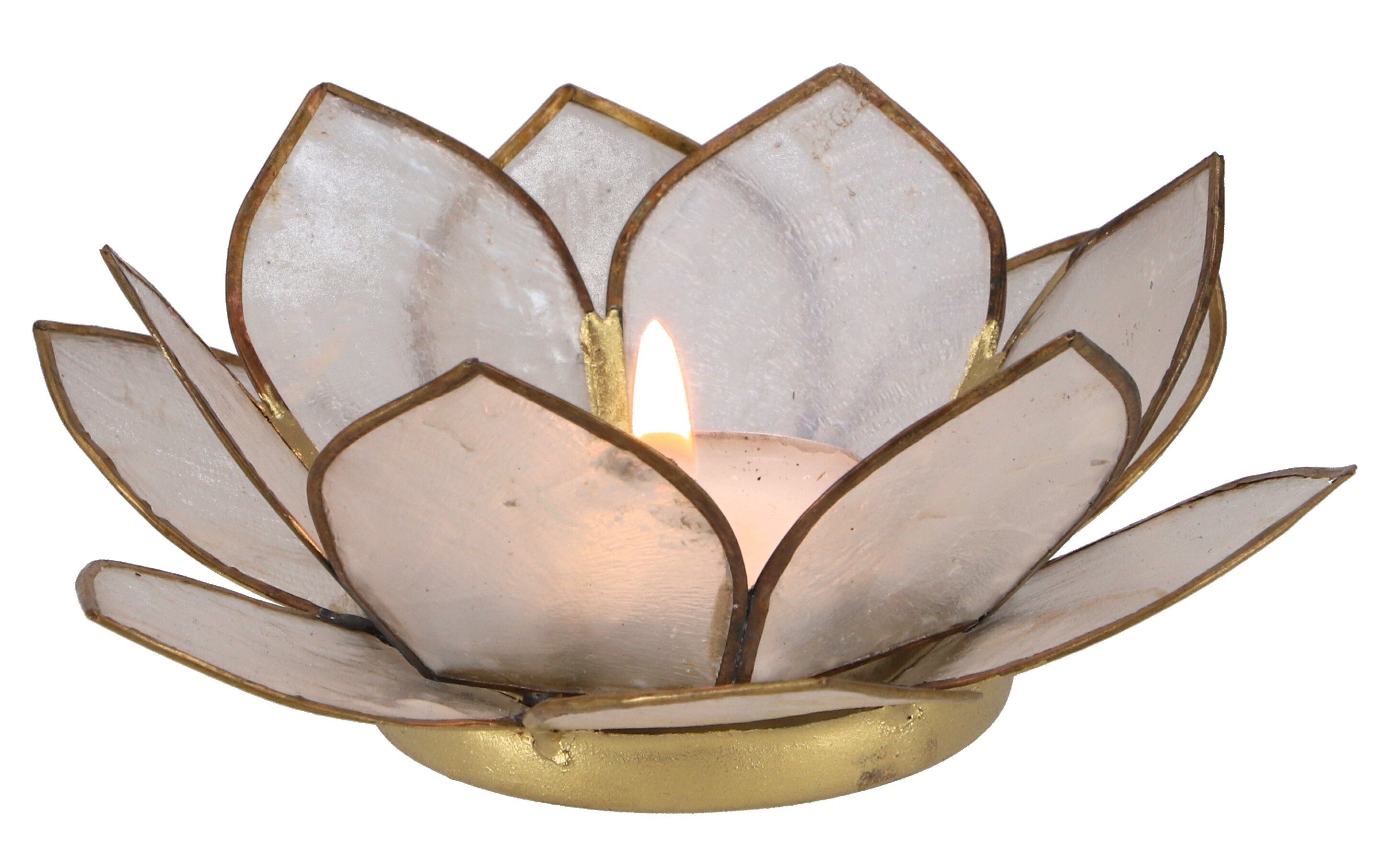 Guru-Shop Windlicht Lotus Teelicht Muschel 11*4 cm - weiß