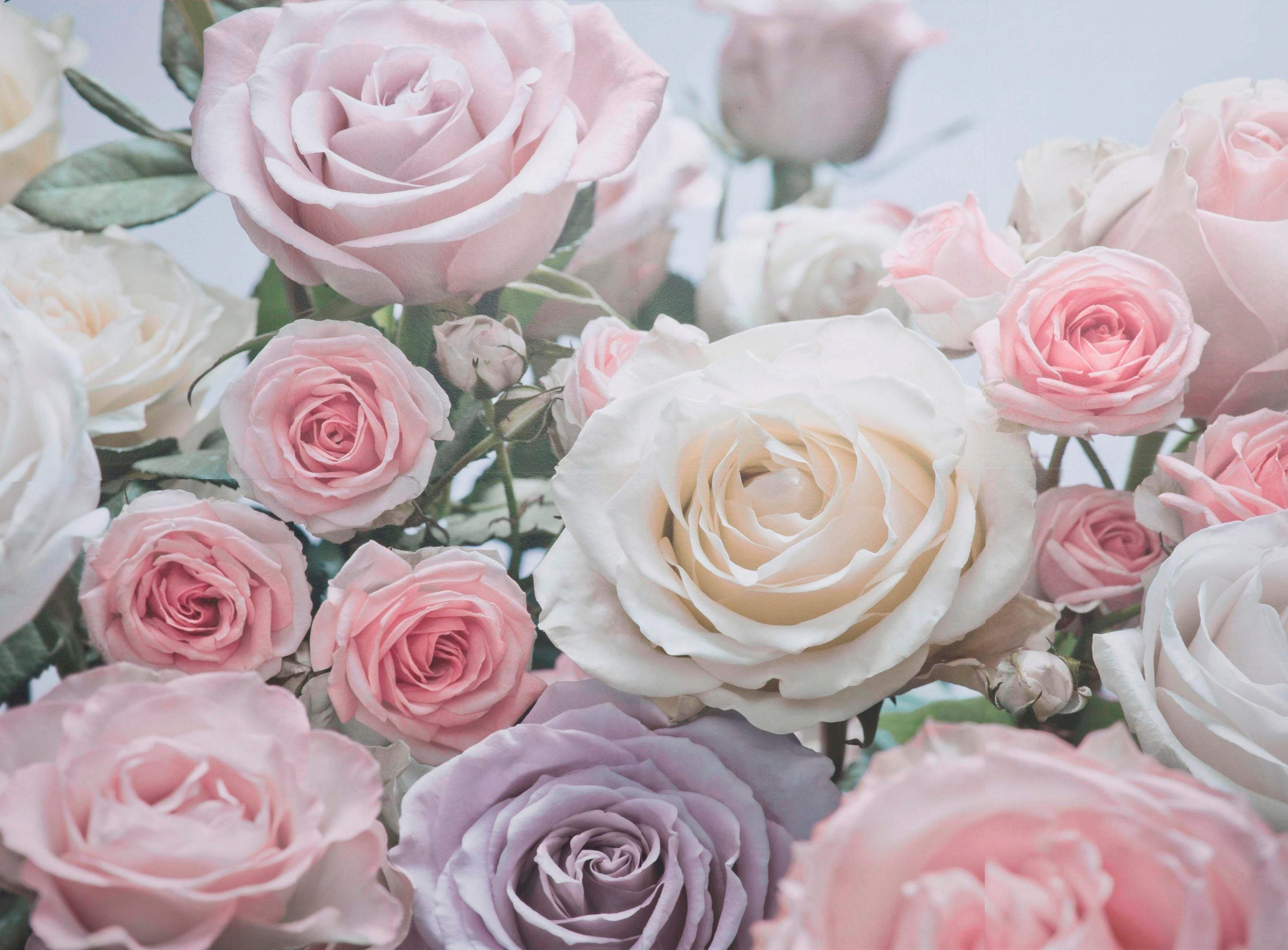 Komar Fototapete Floraison - Размер 368 x 254 cm, glatt, bedruckt, Wohnzimmer, Schlafzimmer