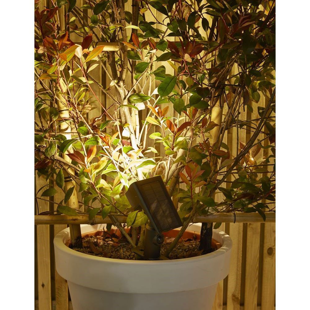 Luxform Gartenleuchte Luxform Solar Leuchte Bewegungsmelder Security Rosari günstig online kaufen