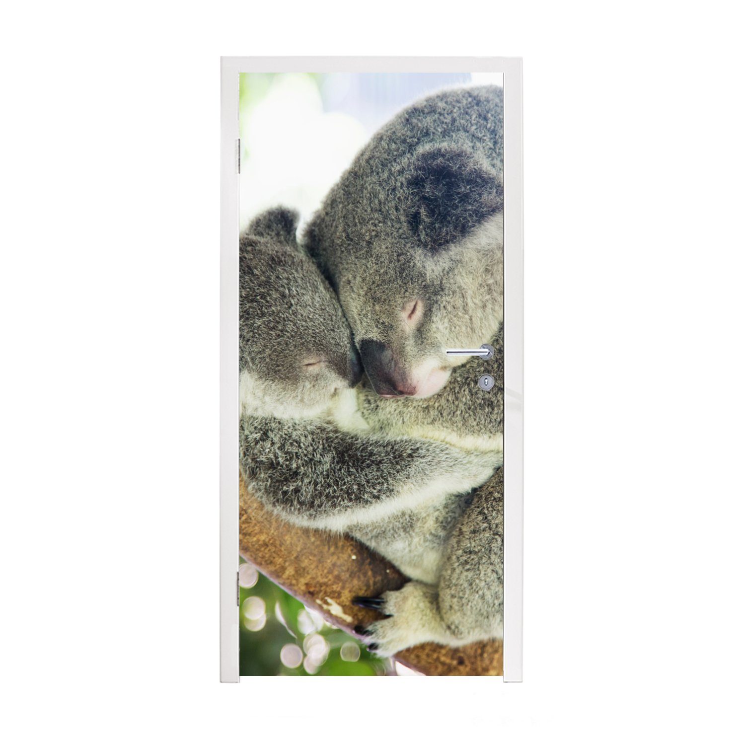 MuchoWow Türtapete Koalas - Plüschtier - Tiere - Kinder - Jungen - Mädchen, Matt, bedruckt, (1 St), Fototapete für Tür, Türaufkleber, 75x205 cm