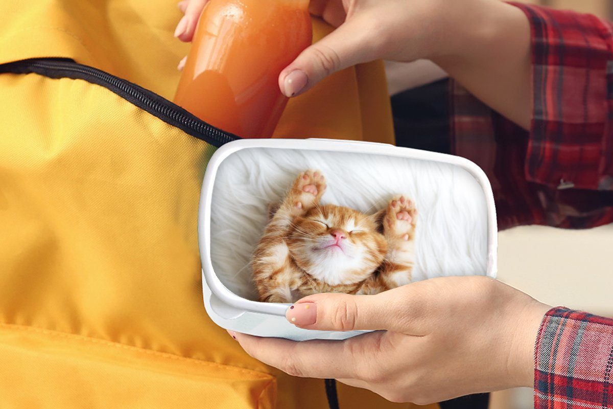 Katze für (2-tlg), und Lunchbox Erwachsene, und für Haustiere - Kätzchen, Mädchen Brotdose, Jungs MuchoWow - Kinder - Brotbox Rot Kunststoff, weiß
