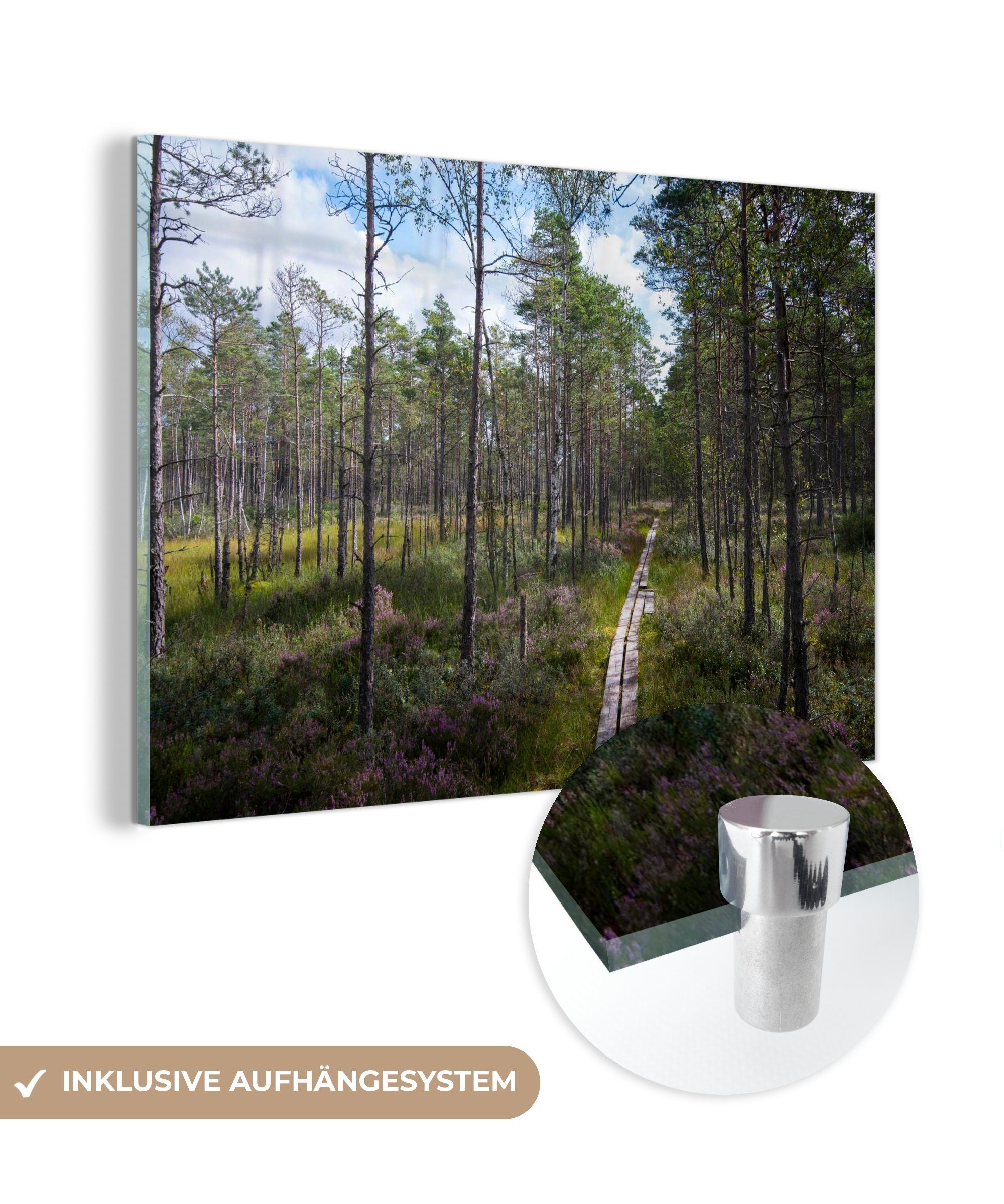 MuchoWow Acrylglasbild Ein Weg durch die Wälder des Store Mosse Nationalparks in Schweden, (1 St), Acrylglasbilder Wohnzimmer & Schlafzimmer