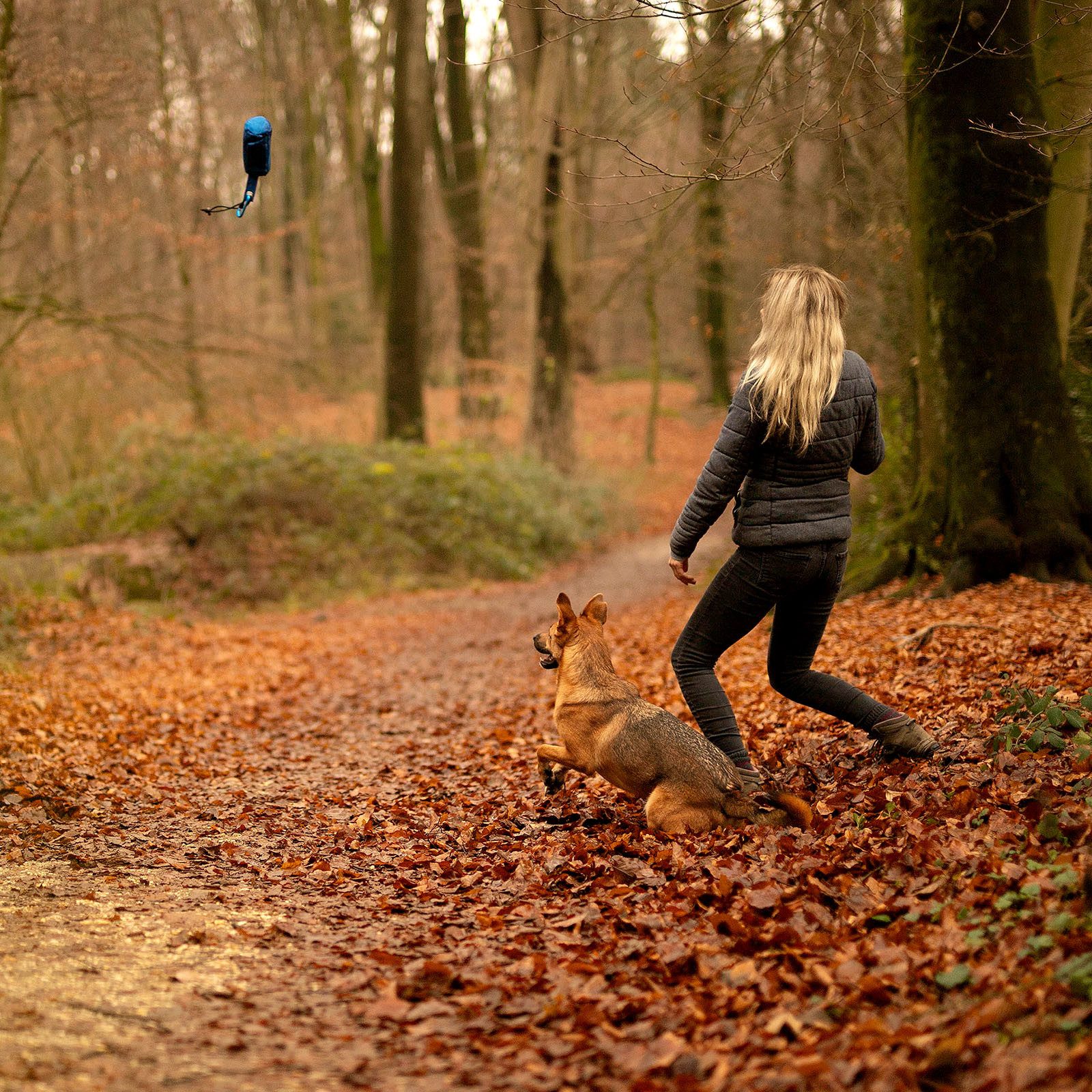 lionto Tier-Intelligenzspielzeug Futterbeutel für Hunde, Trainingsdummy, günstig online kaufen