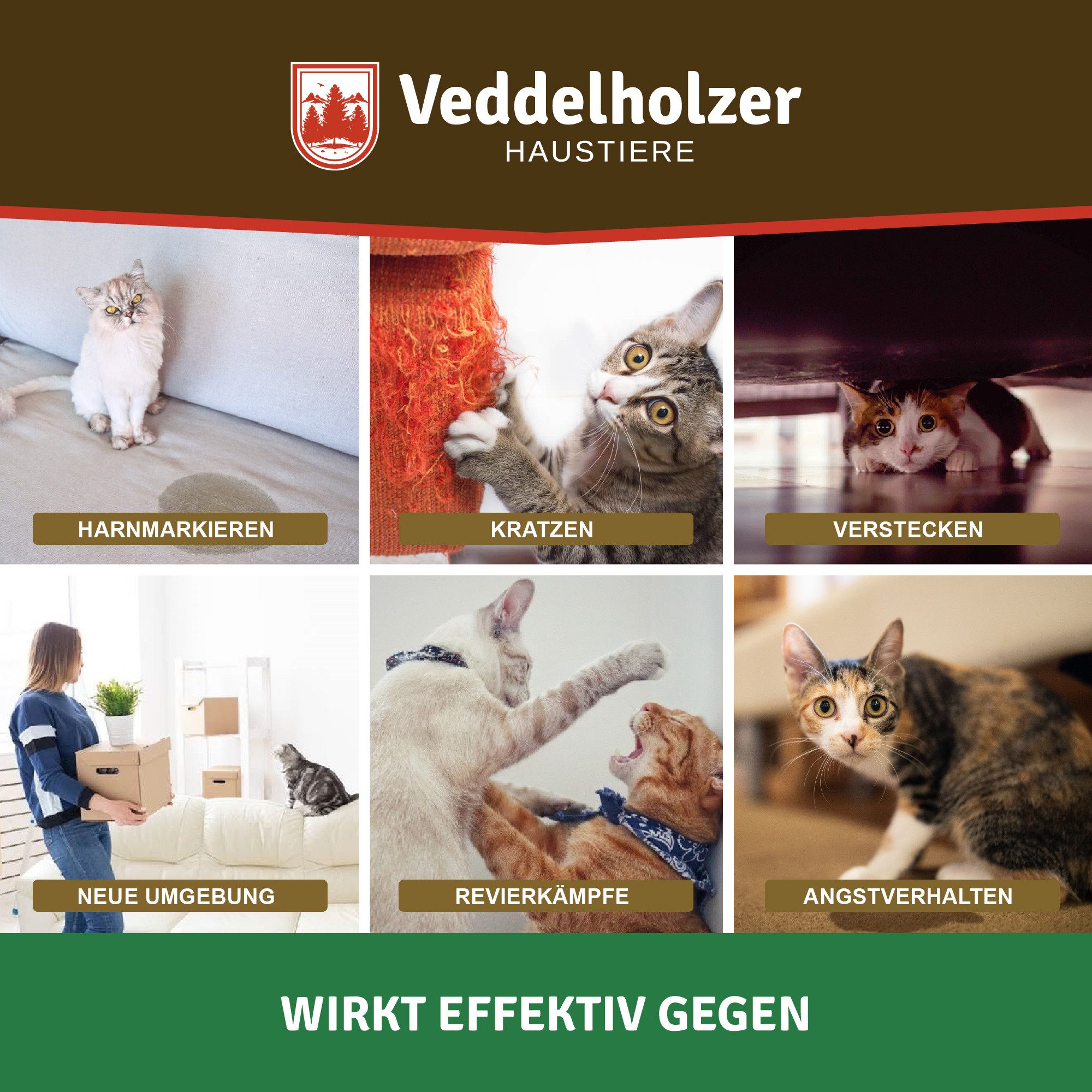 Veddelholzer Katzen-Spielspray Relax Cat Pheromone Katzen Nachfüll Set aus 3 x 45ml Flakon (Beruhigungsmittel für Katzen, 3-St., Entspannungs & Anti Stress Mittel für Katzen), urinieren verhindern gegen kratzen