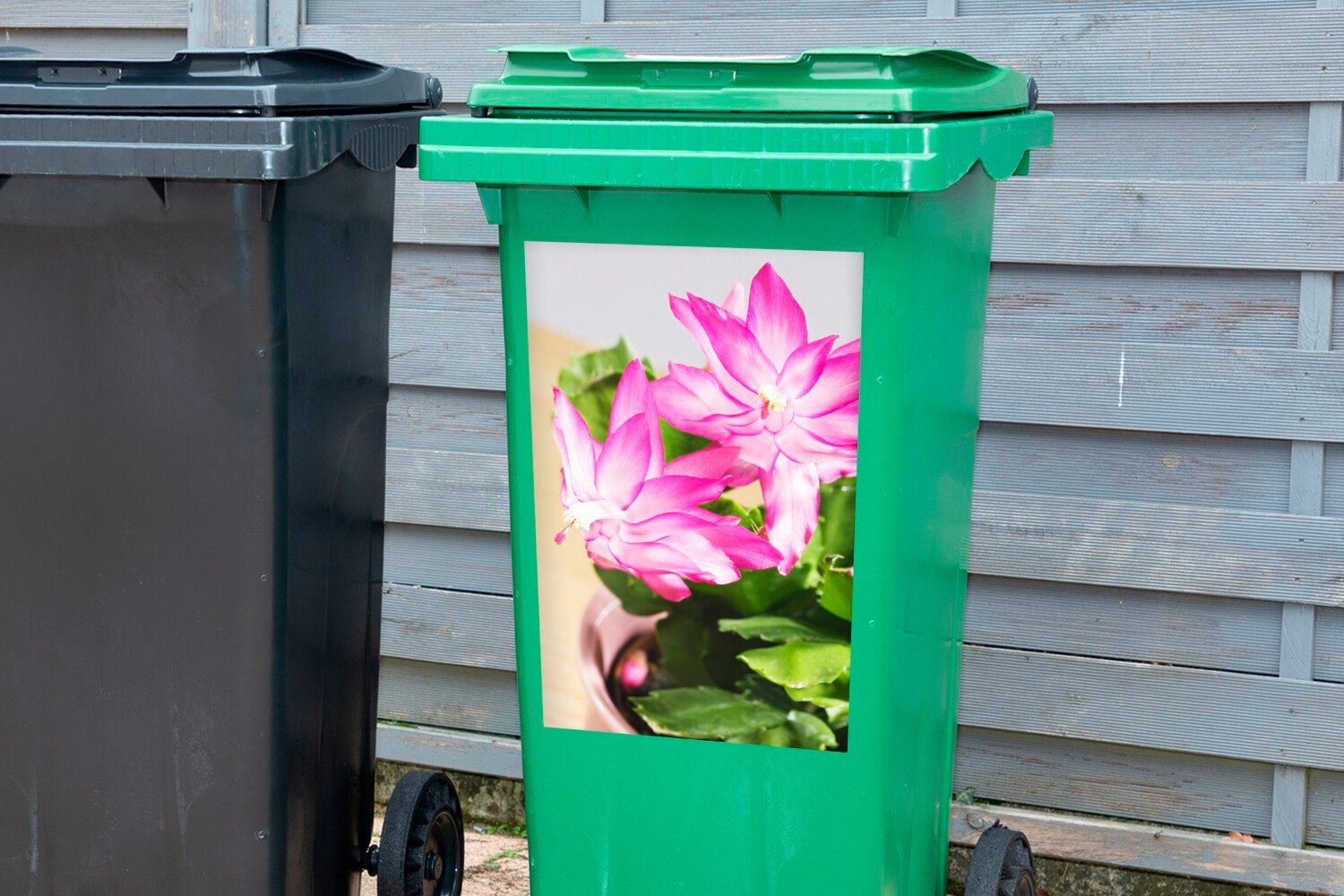 Deckelkaktus Container, Mülleimer-aufkleber, Sticker, Mülltonne, Abfalbehälter (1 Wandsticker MuchoWow St), Blühender