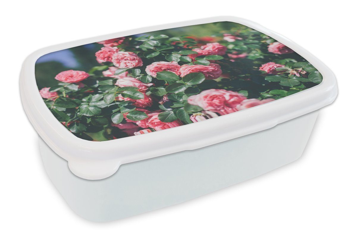 MuchoWow (2-tlg), im Mädchen Kunststoff, Lunchbox und weiß Schöne Brotbox Kinder Erwachsene, für Rose und für Jungs Brotdose, Sommergarten, rosa