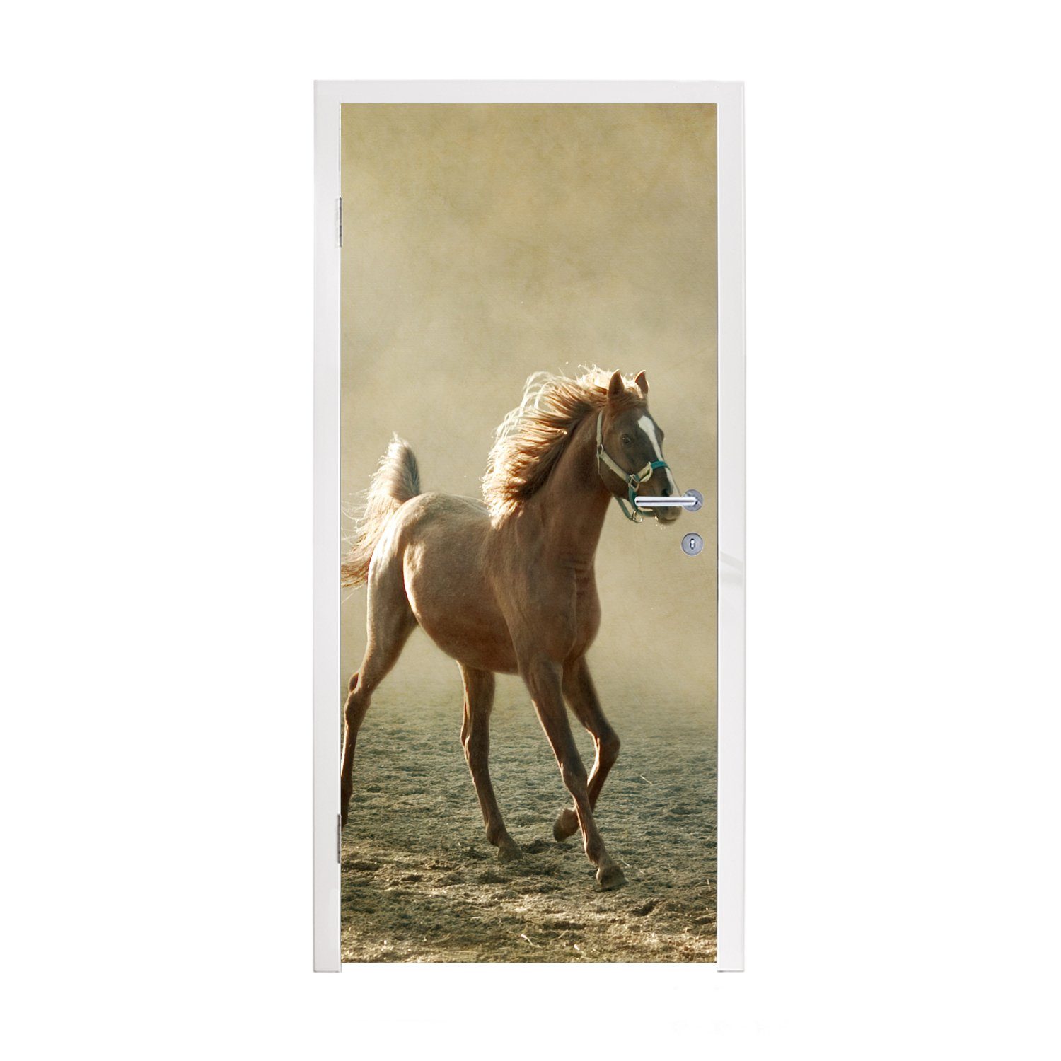 MuchoWow Türtapete Pferd - Sand - Nebel, Matt, bedruckt, (1 St), Fototapete für Tür, Türaufkleber, 75x205 cm