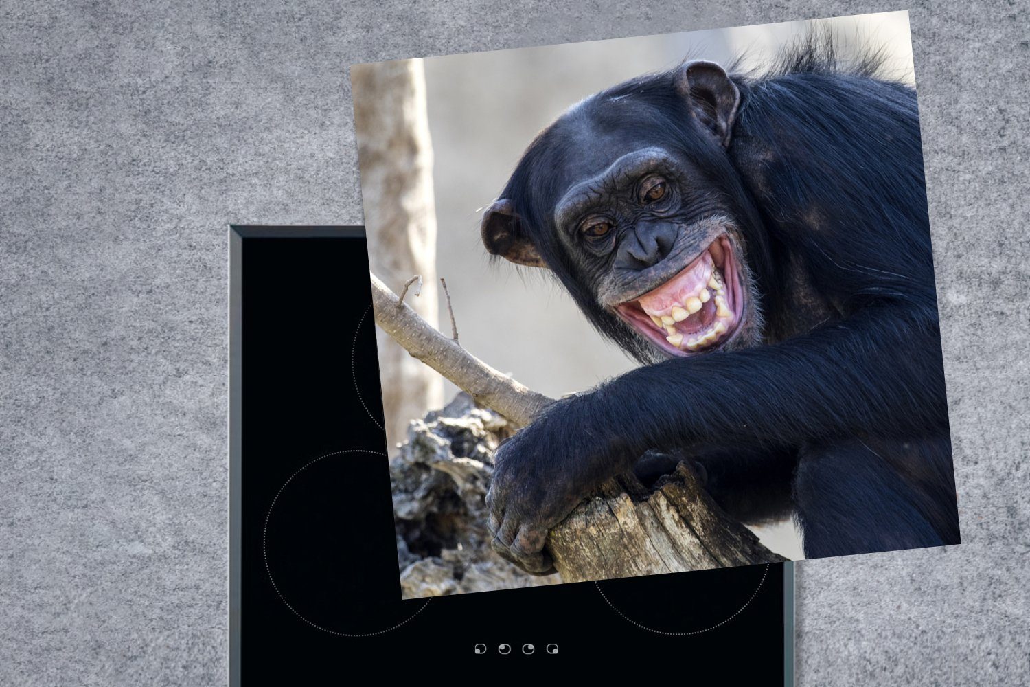 (1 Zähne küche Herdblende-/Abdeckplatte Schimpanse tlg), - Affe, - für Arbeitsplatte 78x78 MuchoWow Vinyl, Ceranfeldabdeckung, cm,