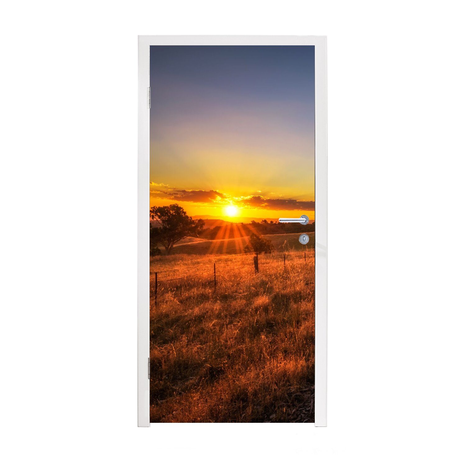MuchoWow Türtapete Sonne - Gras - Baum - Natur, Matt, bedruckt, (1 St), Fototapete für Tür, Türaufkleber, 75x205 cm | Türtapeten