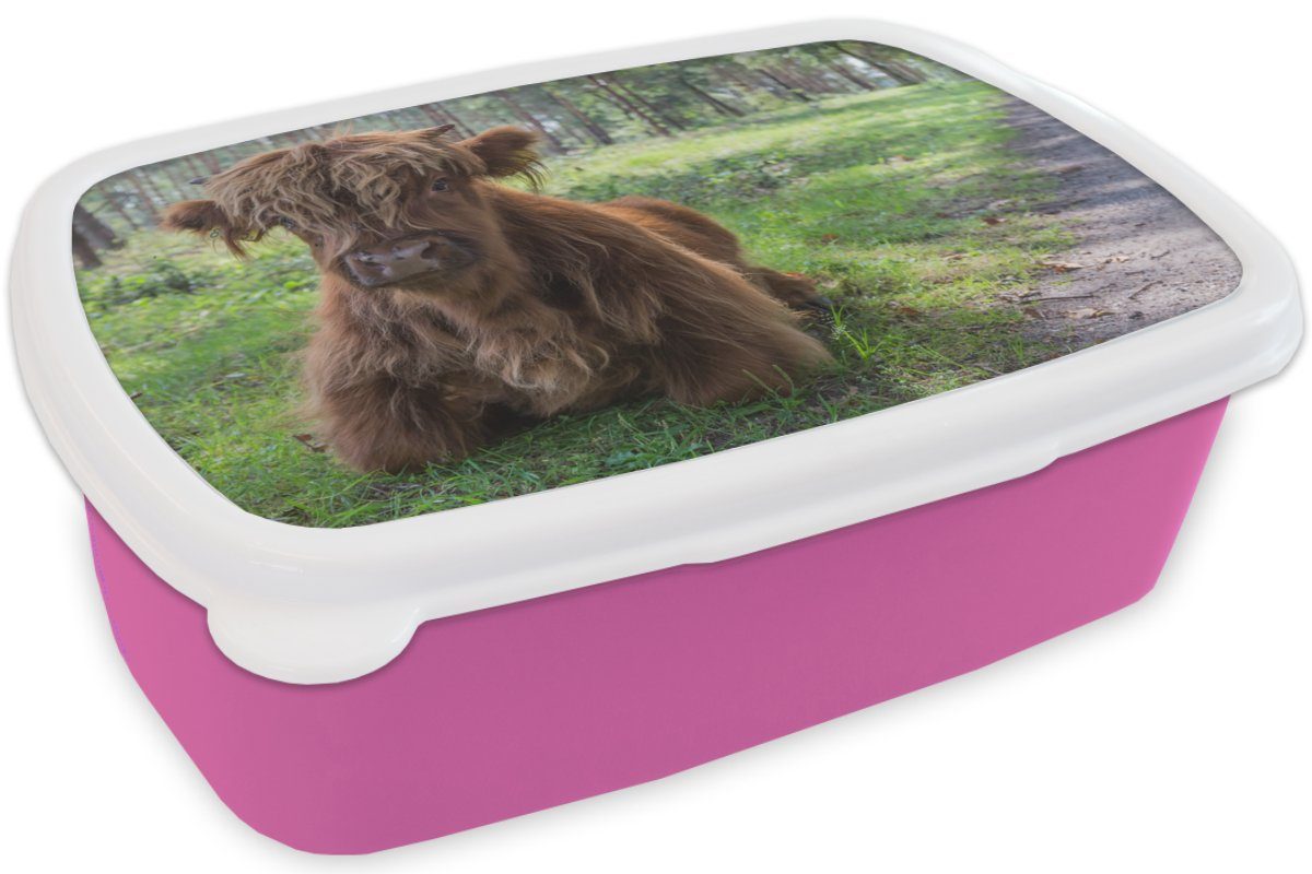 Tiere, MuchoWow für - Snackbox, - Kröte Mädchen, Brotbox Erwachsene, Brotdose Schottischer Kunststoff rosa (2-tlg), Kunststoff, Kinder, Highlander Lunchbox