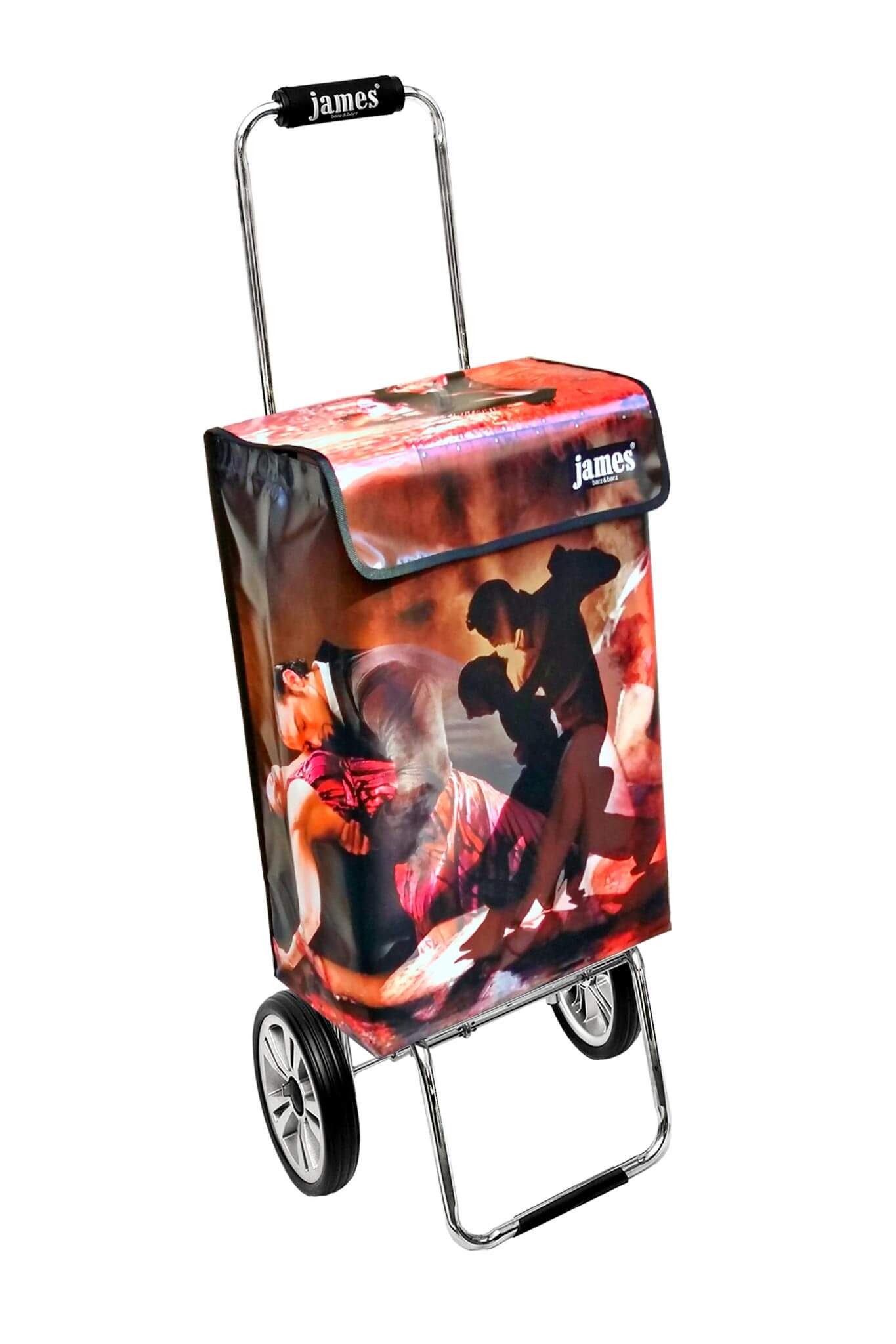 james Einkaufstrolley TANGO - stabiler Einkaufswagen mit individuellem Design, Handmade in Austria - Einkaufsbegleiter mit viel Stauraum - trägt 40kg