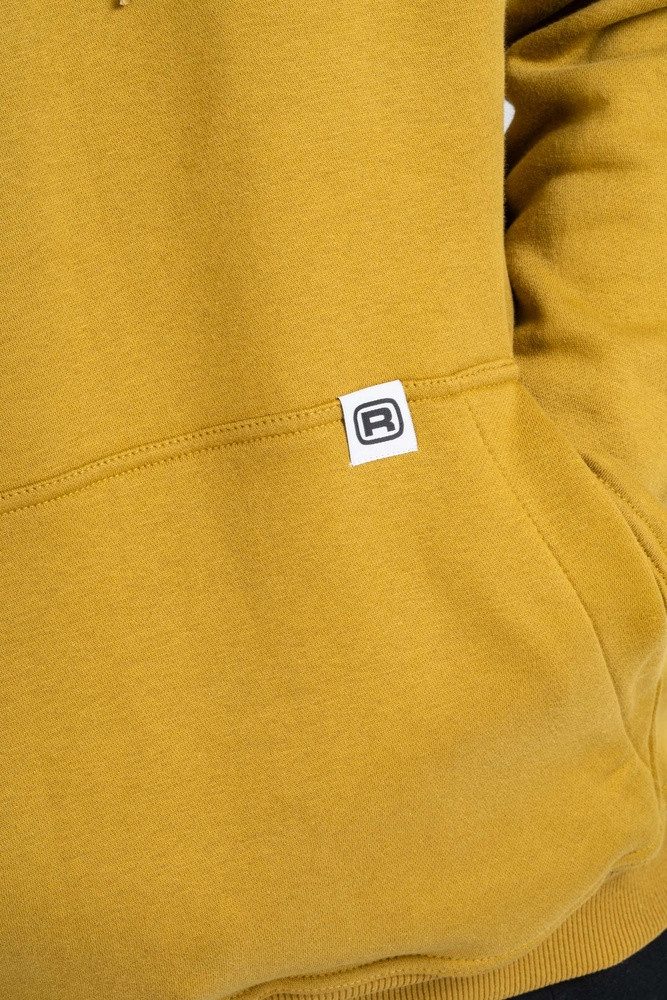 REELL Kapuzenpullover Prior Hoodie