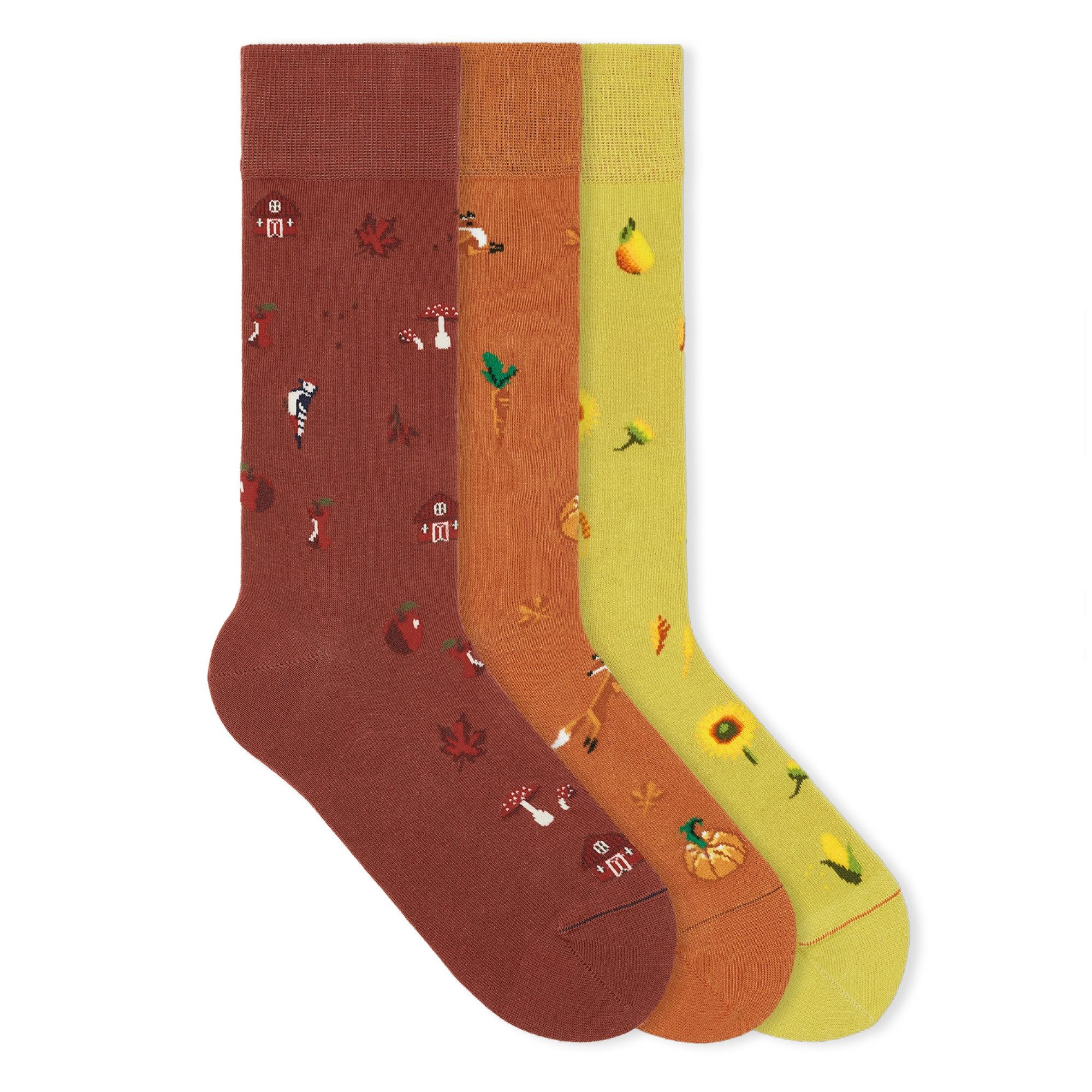 Socken Icons Socken-Set Bio-Baumwolle 35-46 Unisex