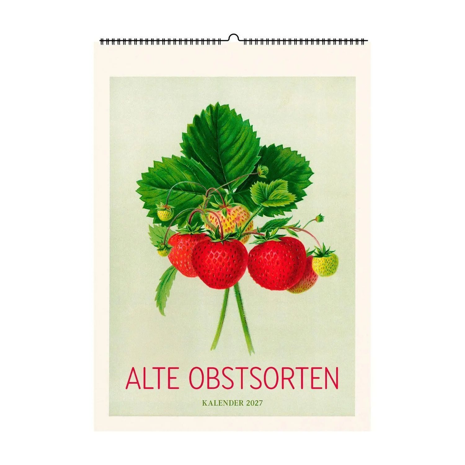 Wandkalender Alte Obstsorten. Wandkalender 2027