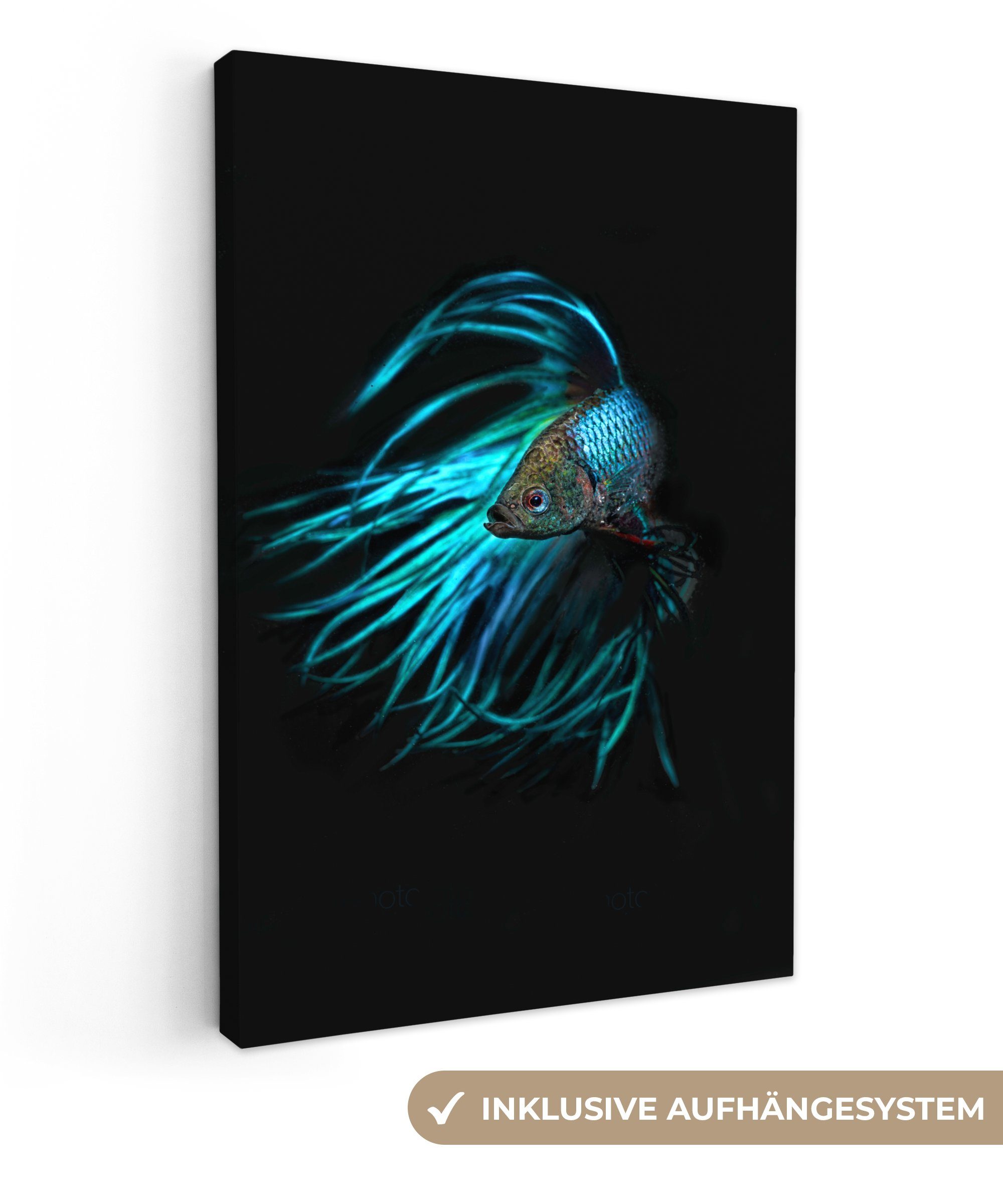 OneMillionCanvasses® Leinwandbild Fische - Meerestiere - Blau - Schwarz, (1 St), Leinwandbild fertig bespannt inkl. Zackenaufhänger, Gemälde, 20x30 cm