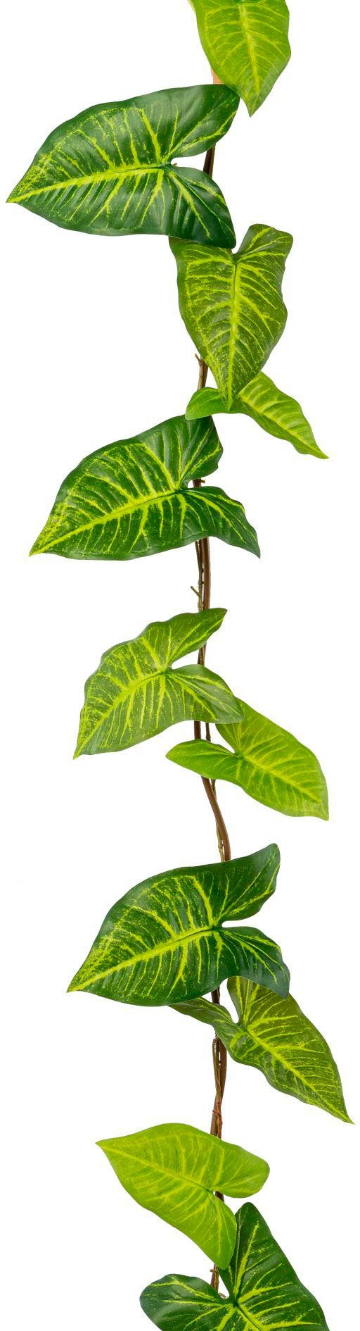 110 cm, schöner Länge Syngoniumgirlande green, Grünpflanze, Creativ in Höhe Kunstgirlande