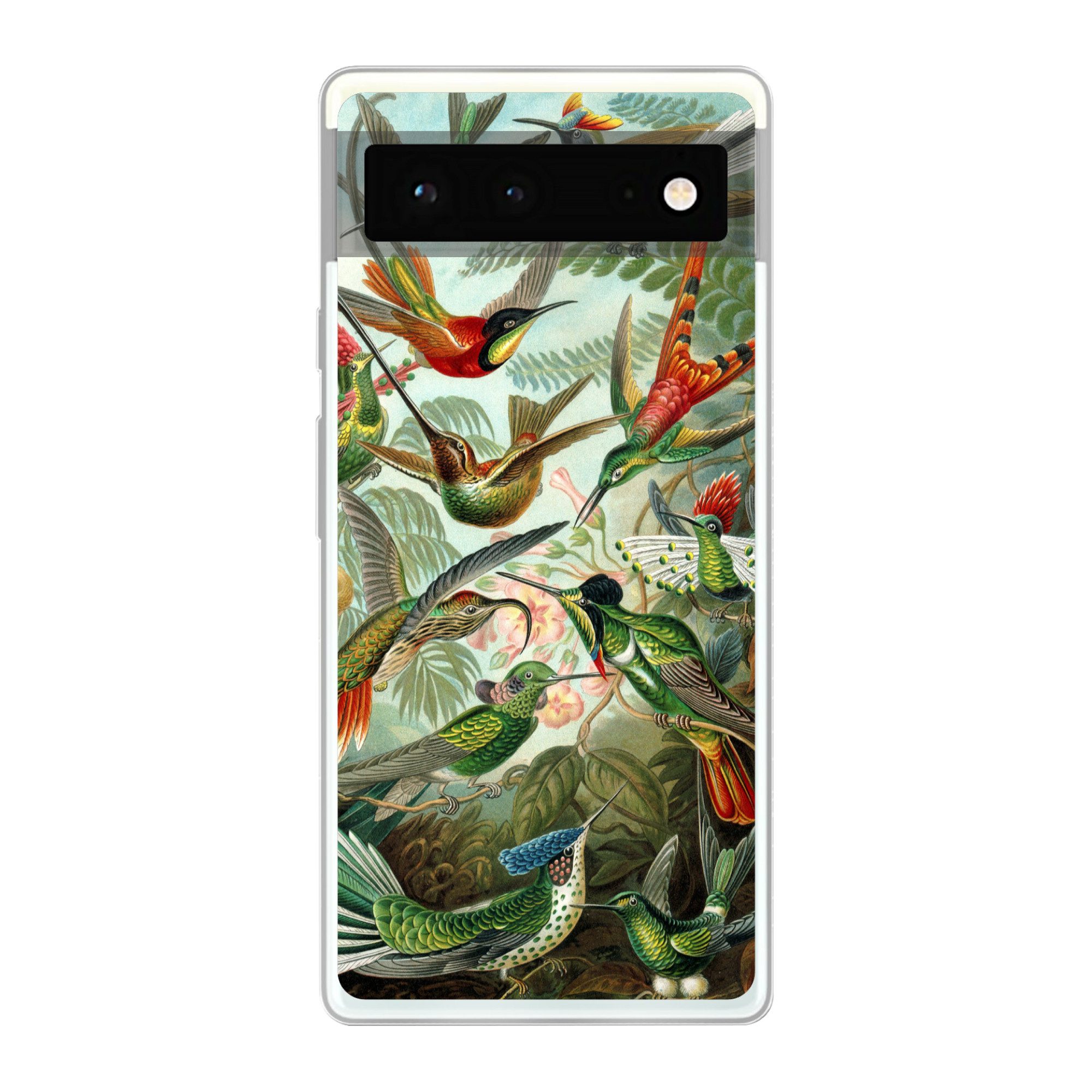 MuchoWow Handyhülle für Google Pixel 6 Trochilidae - Alte Meister - Kunst, Handy Case, Silikon, Bumper Case Dünn