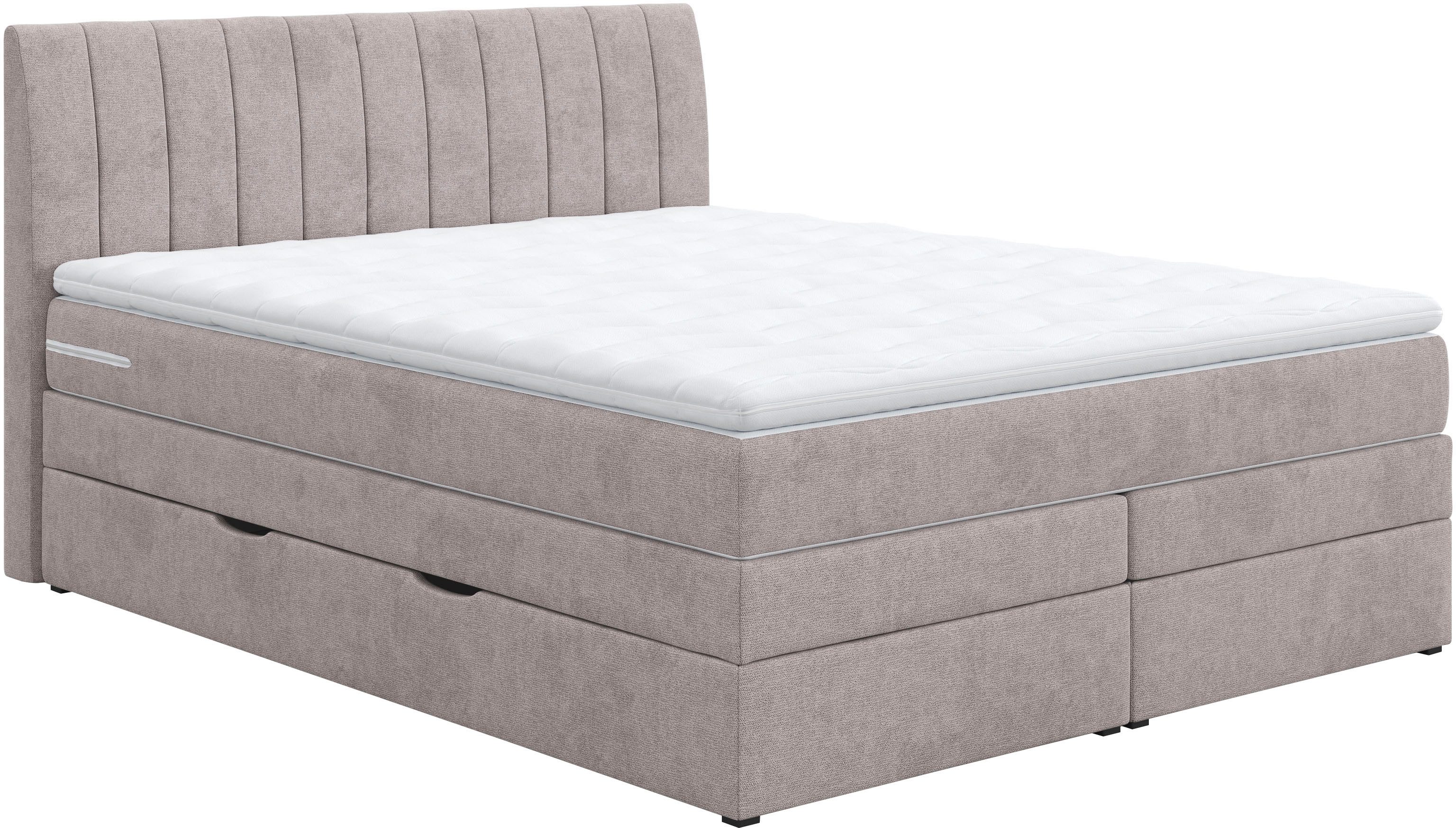 COTTA Boxspringbett "Shark inkl. Bettkasten und Topper", erhältlich in den günstig online kaufen