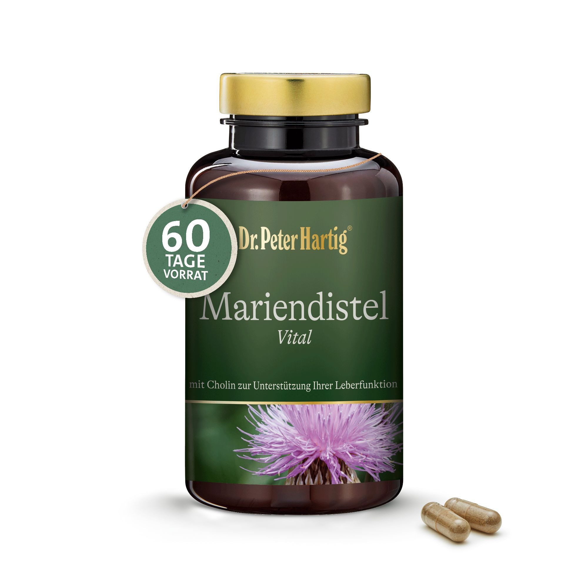 Mariendistel Vital, unterstützt ihre Leber, Stoffwechsel, Cholin, Kapseln