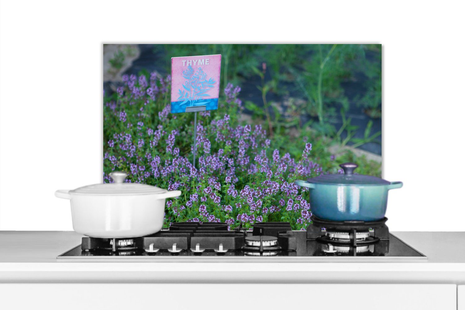MuchoWow Küchenrückwand Nahaufnahme der violetten Farben des Thymians in der freien Natur, (1-tlg), Spritzschutz Küche - Küchenrückwand - Wandschutz für Herd und Spüle - Alu-Dibond (Alternative zum Spritzschutz aus Glas) - Hitzebeständig - Herdspritzschutz - Fliesenschutz