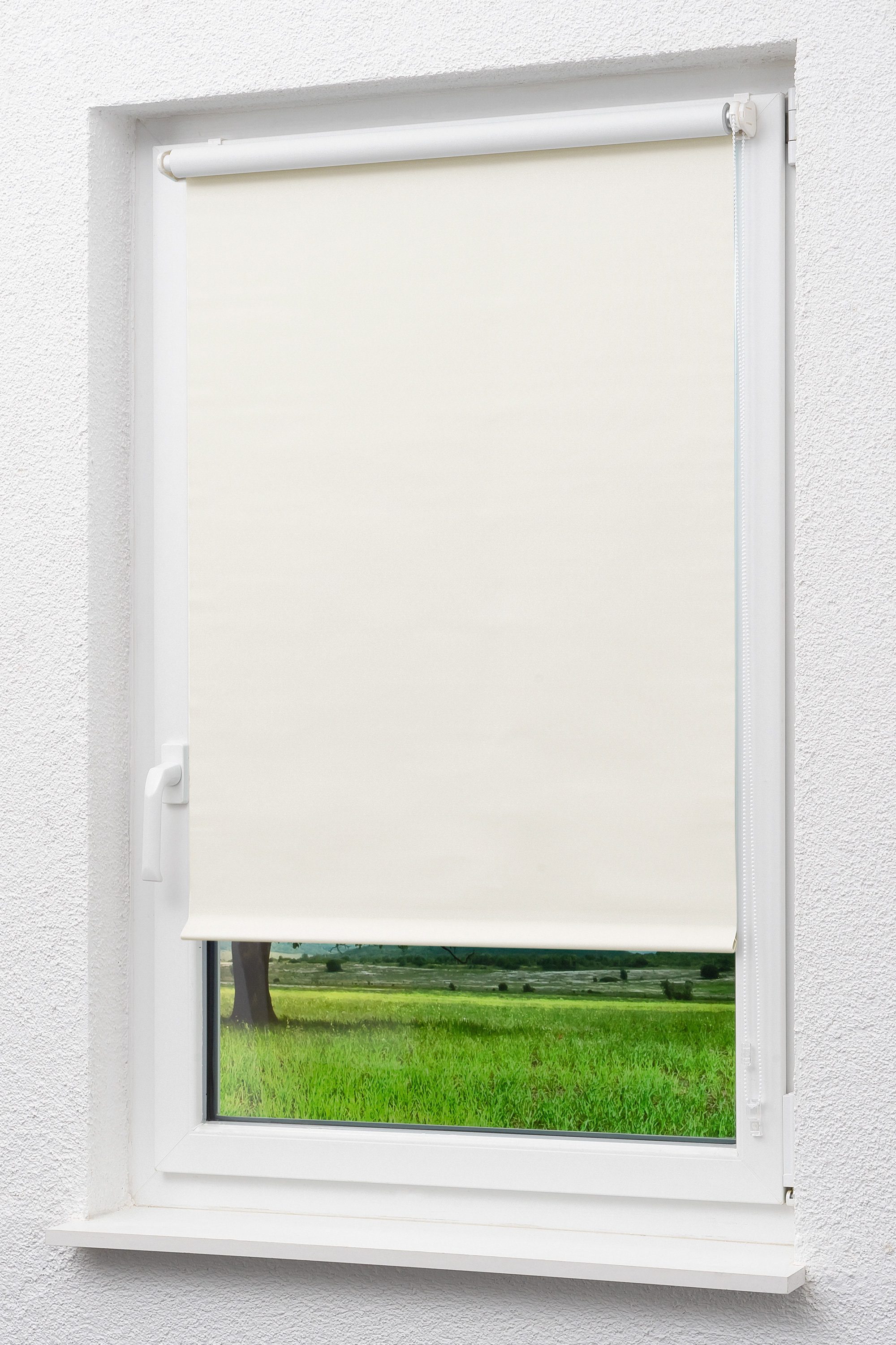 Verdunklungsrollo Mini Rollo abdunkelnd Elfenbein, LYSEL®, günstig online kaufen