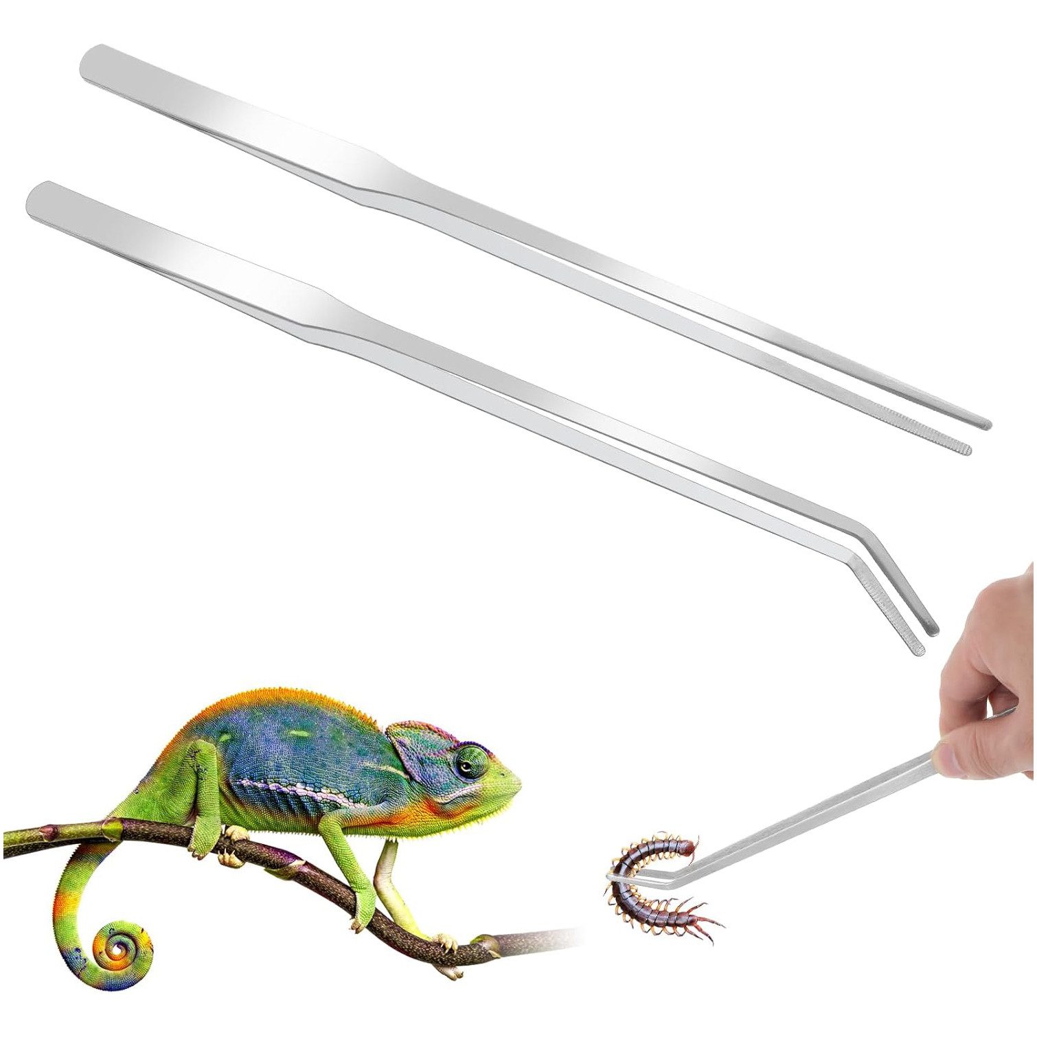 Beaface Terrarium Aquarium Pinzetten Set 2-teilig, Edelstahl 27cm gerade & gebogen, für Reptilien, Wasserpflanzen & Aquascaping, Finger-Schutz