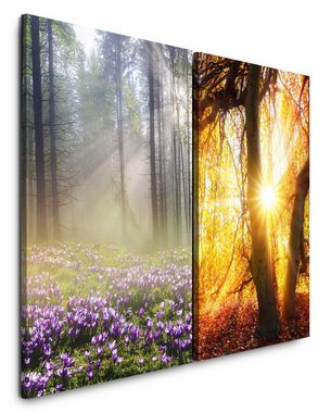 Sinus Art Leinwandbild 2 Bilder je 60x90cm Wald Waldblumen Sonnenstrahlen Hein warmes Licht Beruhigend Heilsam