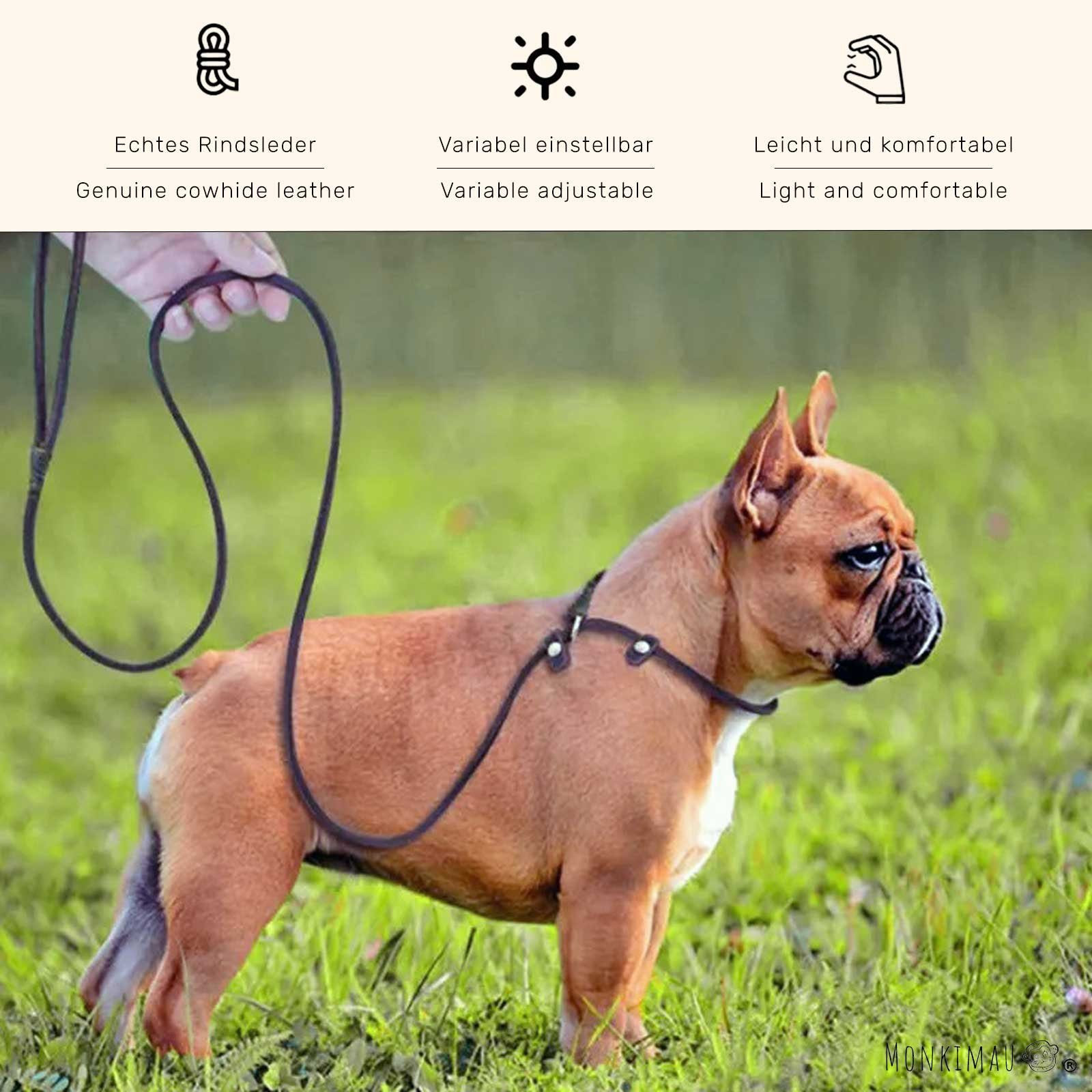 Hundeleine Aus Geflochtenem Nylon – Robust, Mit Karabinerhaken & Weichem Griff, Für Alle Hundegrößen