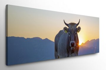 möbel-direkt.de Leinwandbild Bilder XXL Kuh auf der Alm Wandbild auf Leinwand