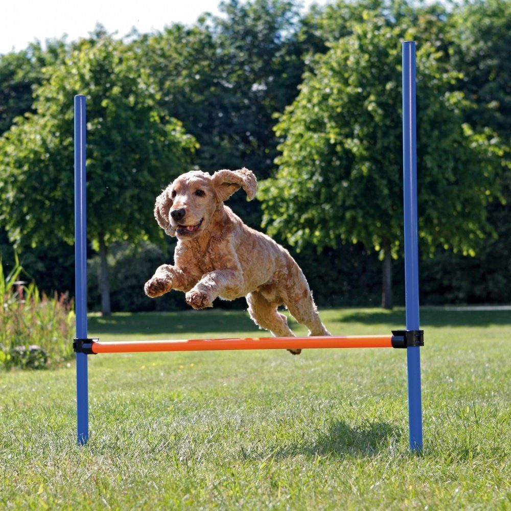 Agility-Slalom Dog Activity Agility Hürde