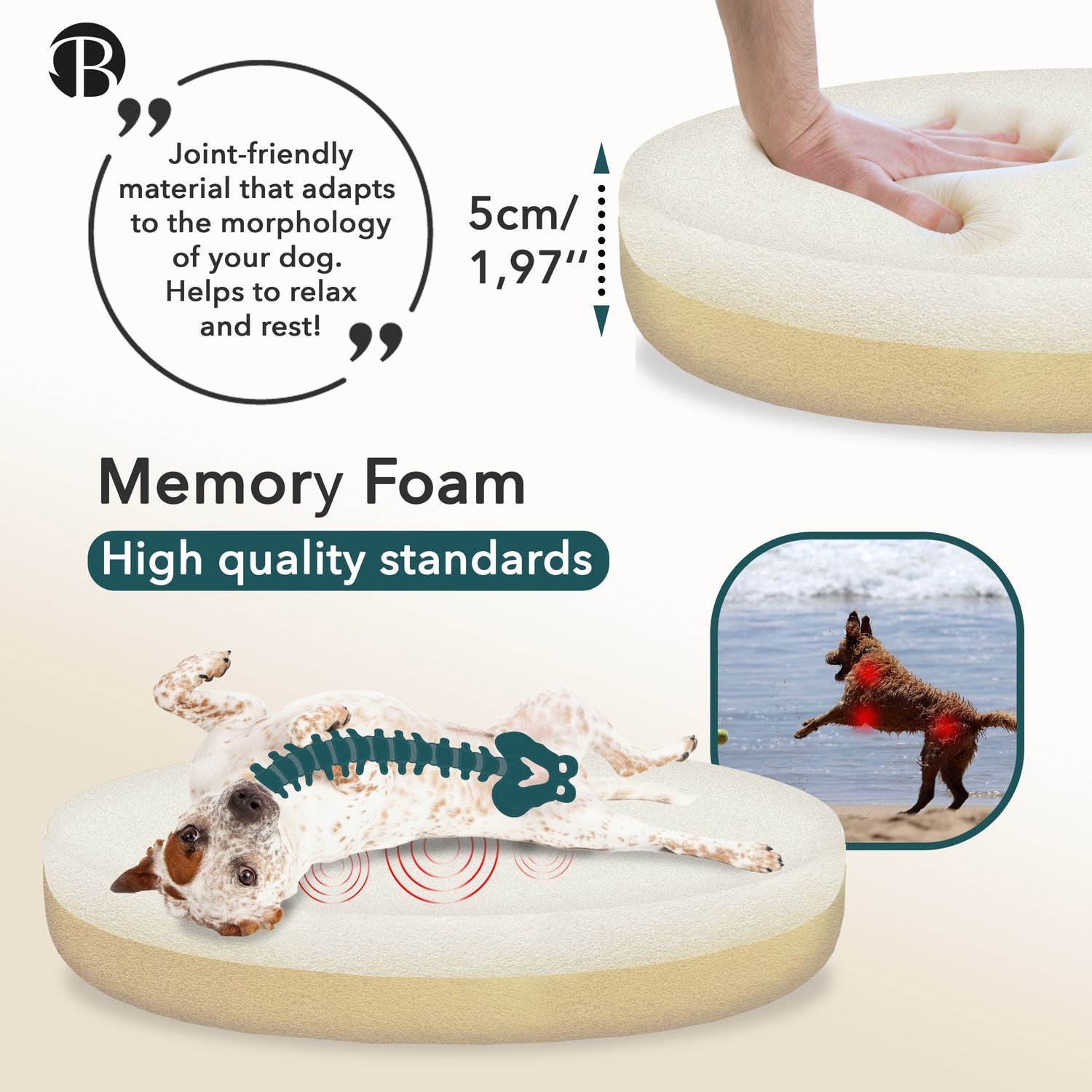 Bluzelle Tierbett Hundebett Orthopädisch 50 cm günstig online kaufen