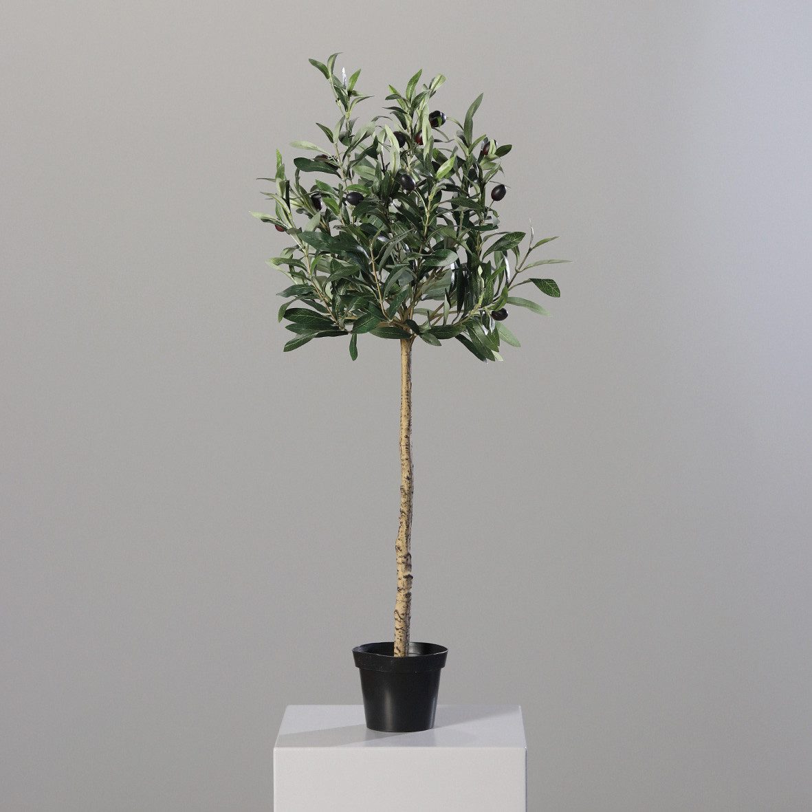 Kunstbaum küstlicher Olivenbaum 80cm, mucPlants, Höhe 80 cm günstig online kaufen